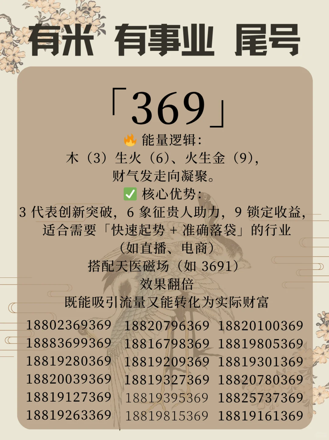 离火九运抓风口!选对号码,顺势借力争先机