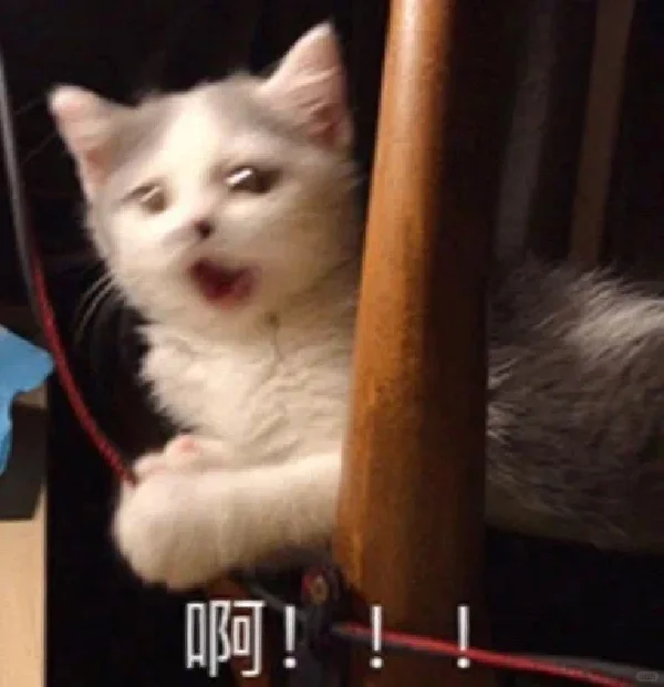 废钢涨了我都哭了