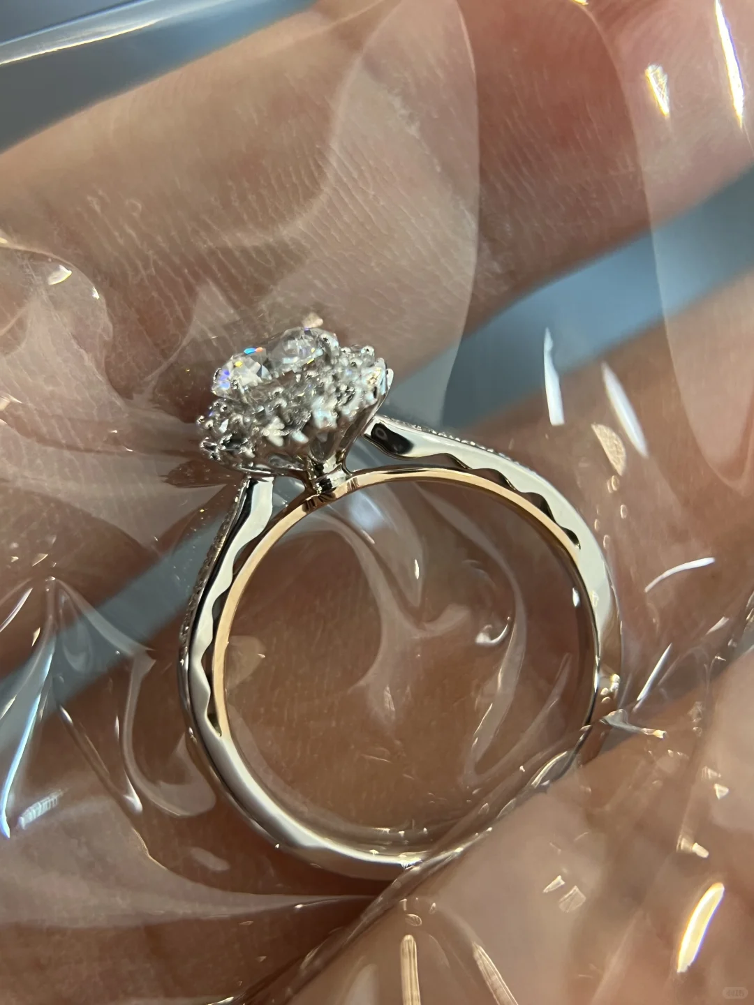 名字叫“华美”