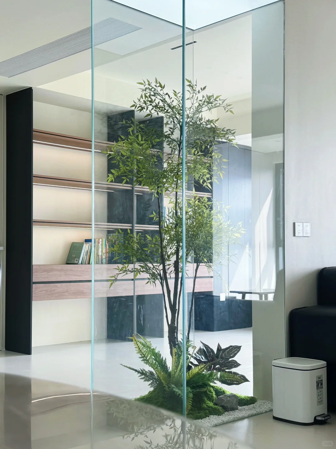 装修分享｜植物造景｜玻璃房内的绿植世界