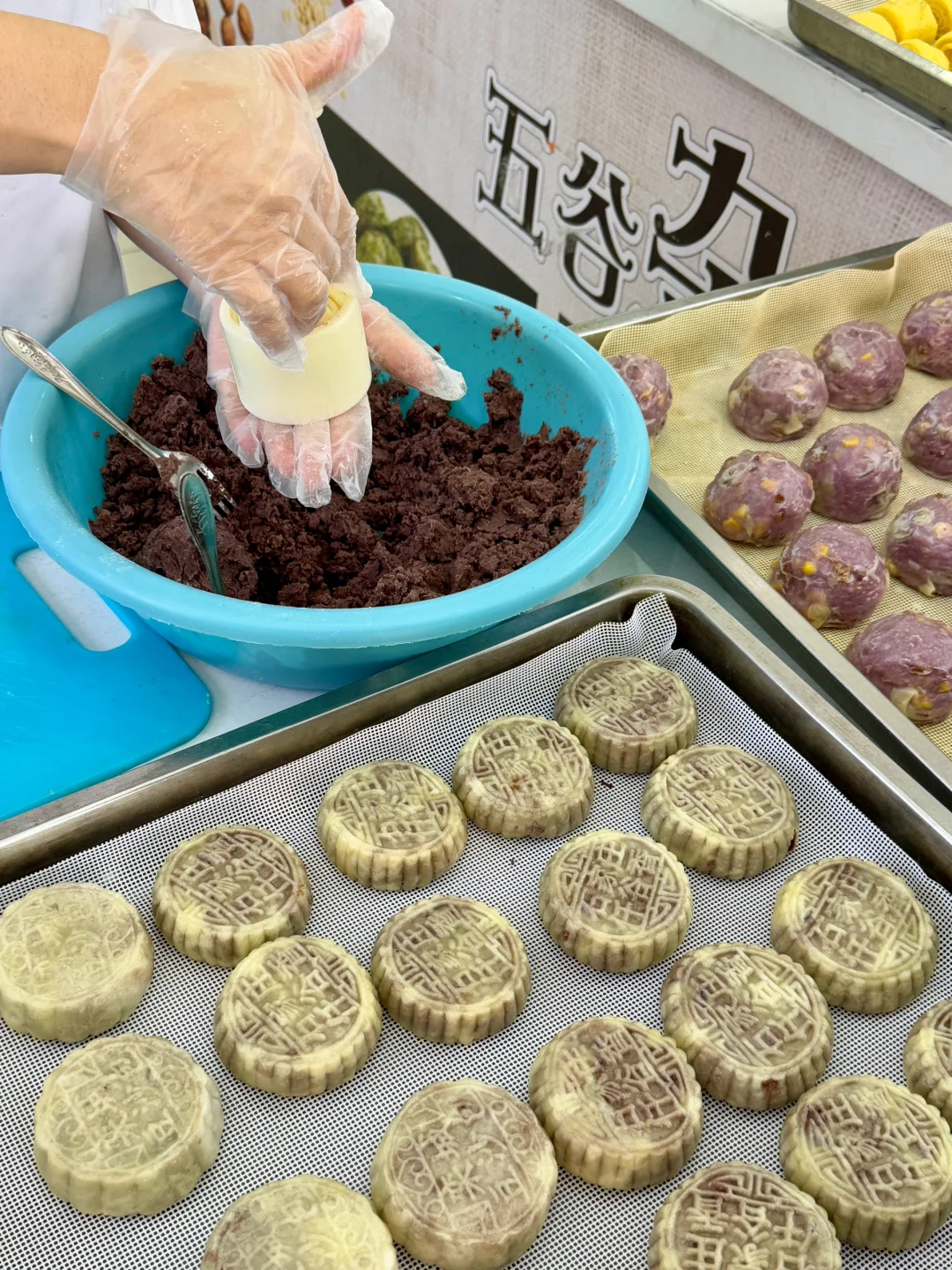 石家庄限定！石家庄限定！！