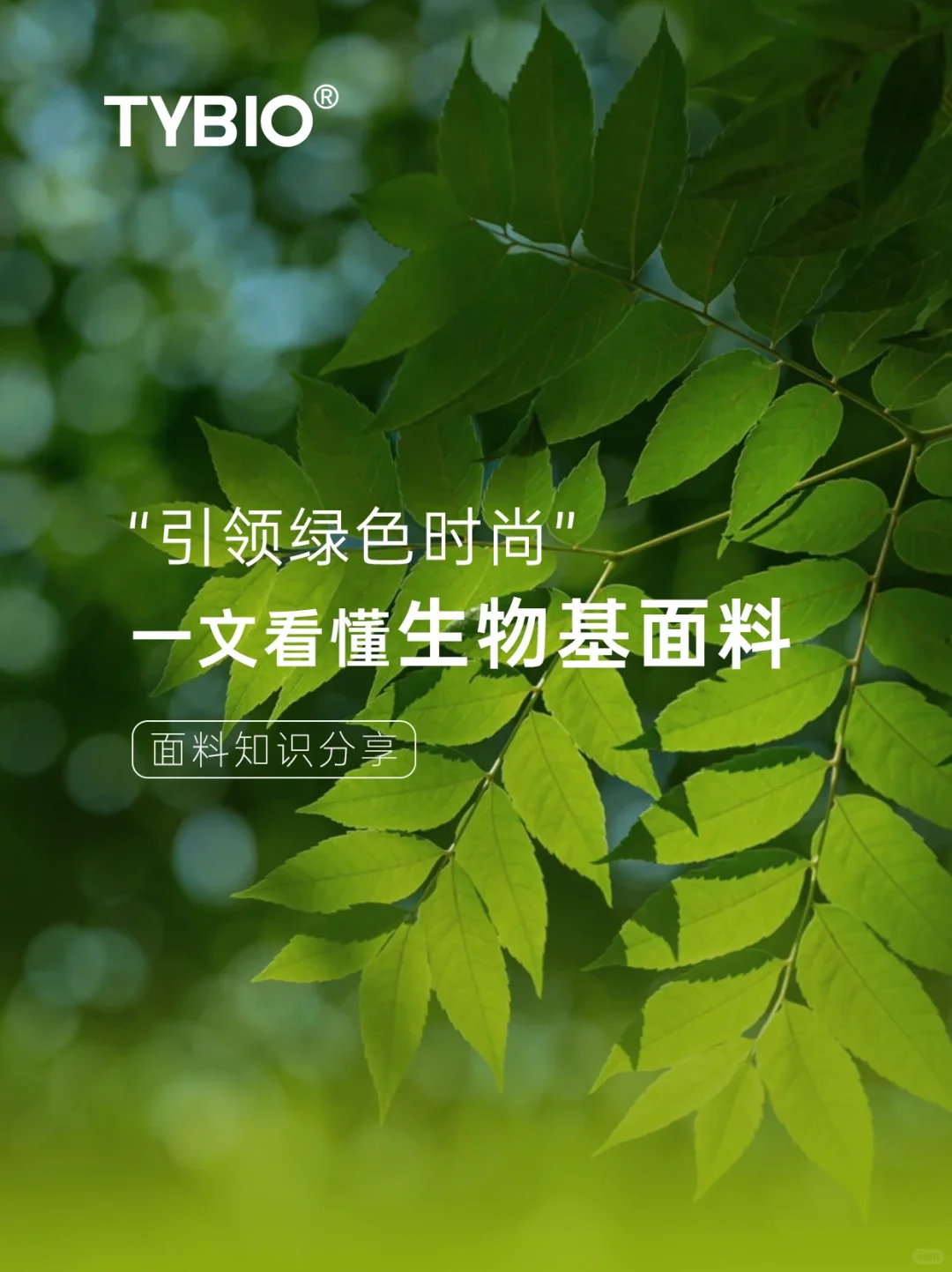 生物基环保面料 ♻| 引领绿色时尚新风尚