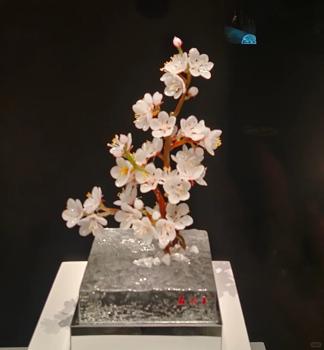 已逛，淄博陶瓷博物馆真的太惊喜了！！