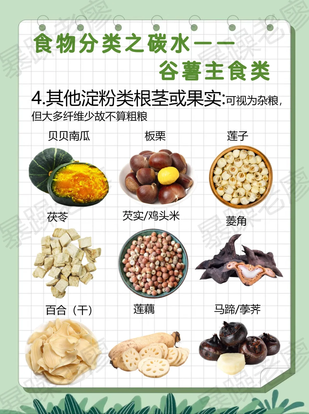 食物分类1-谷薯主食（附日常安排要点）