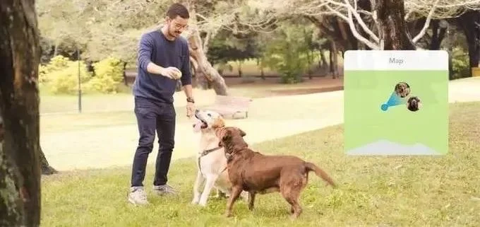 浅析Findster宠物追踪器 的分布式定位哲学