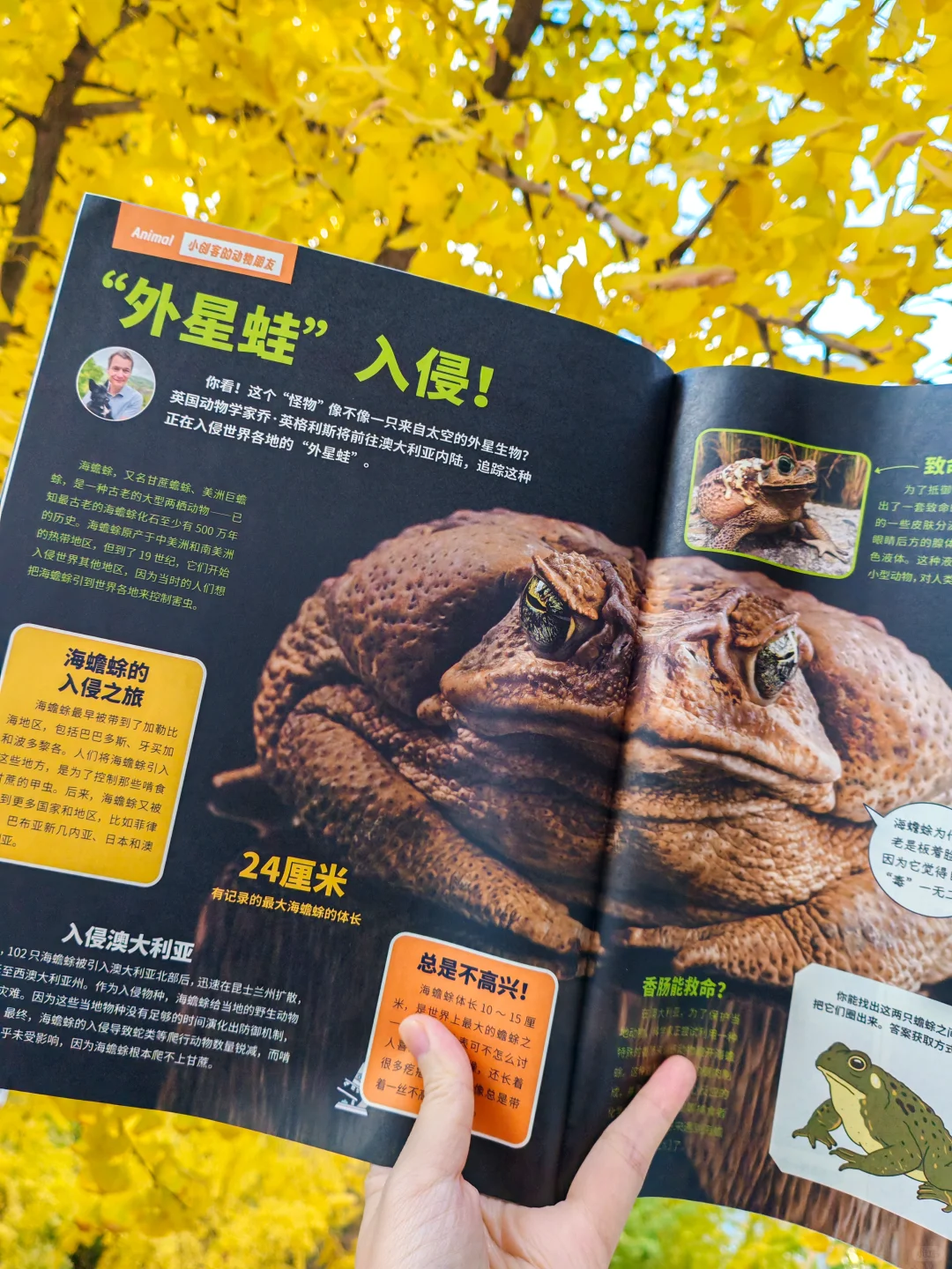 少儿科普杂志那么多,只有这套全科通识!
