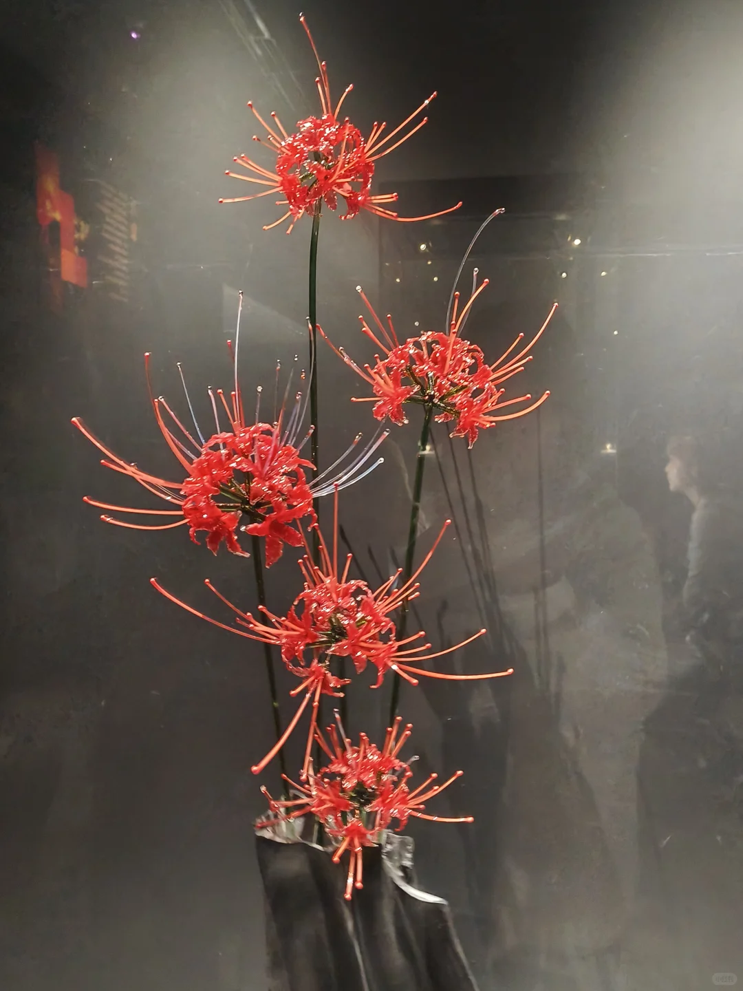 已逛，淄博陶瓷博物馆真的太惊喜了！！