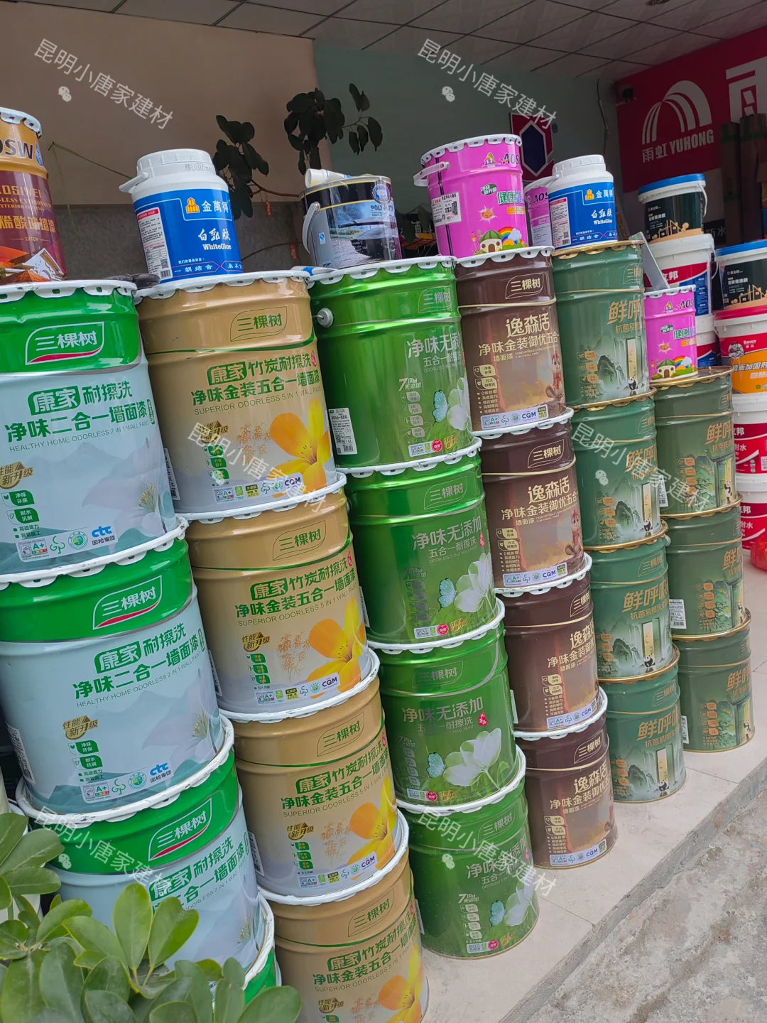 关于三棵树乳胶漆?一次给你讲明白?