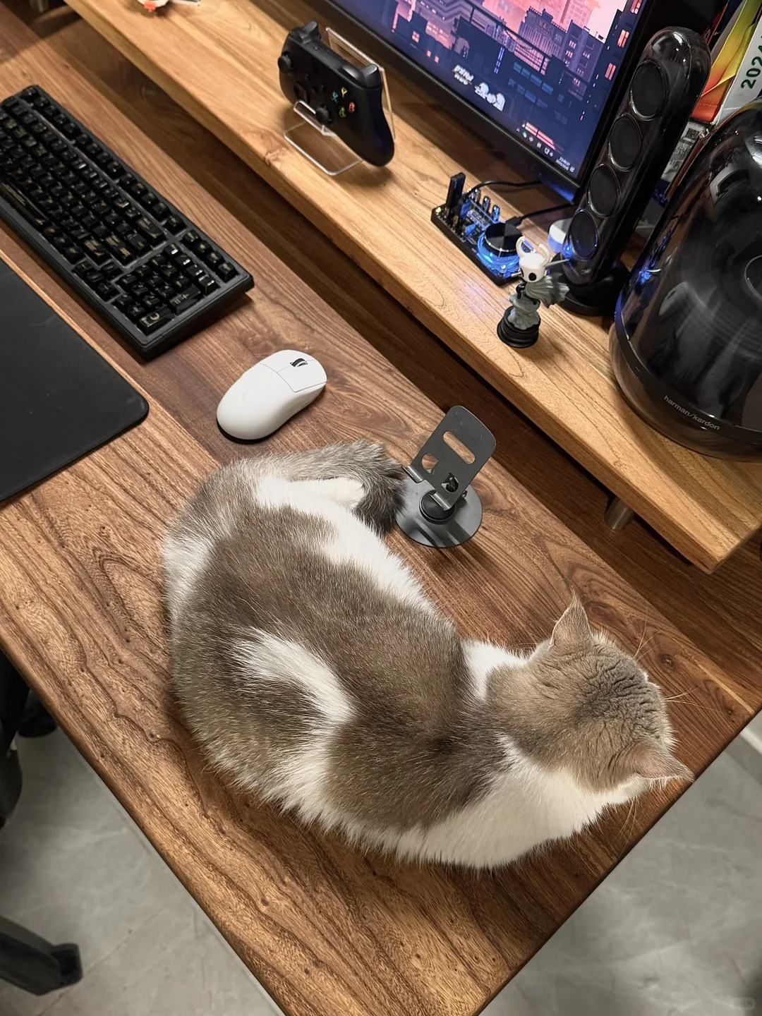 快来看看我花600做的升降电脑桌!真好看