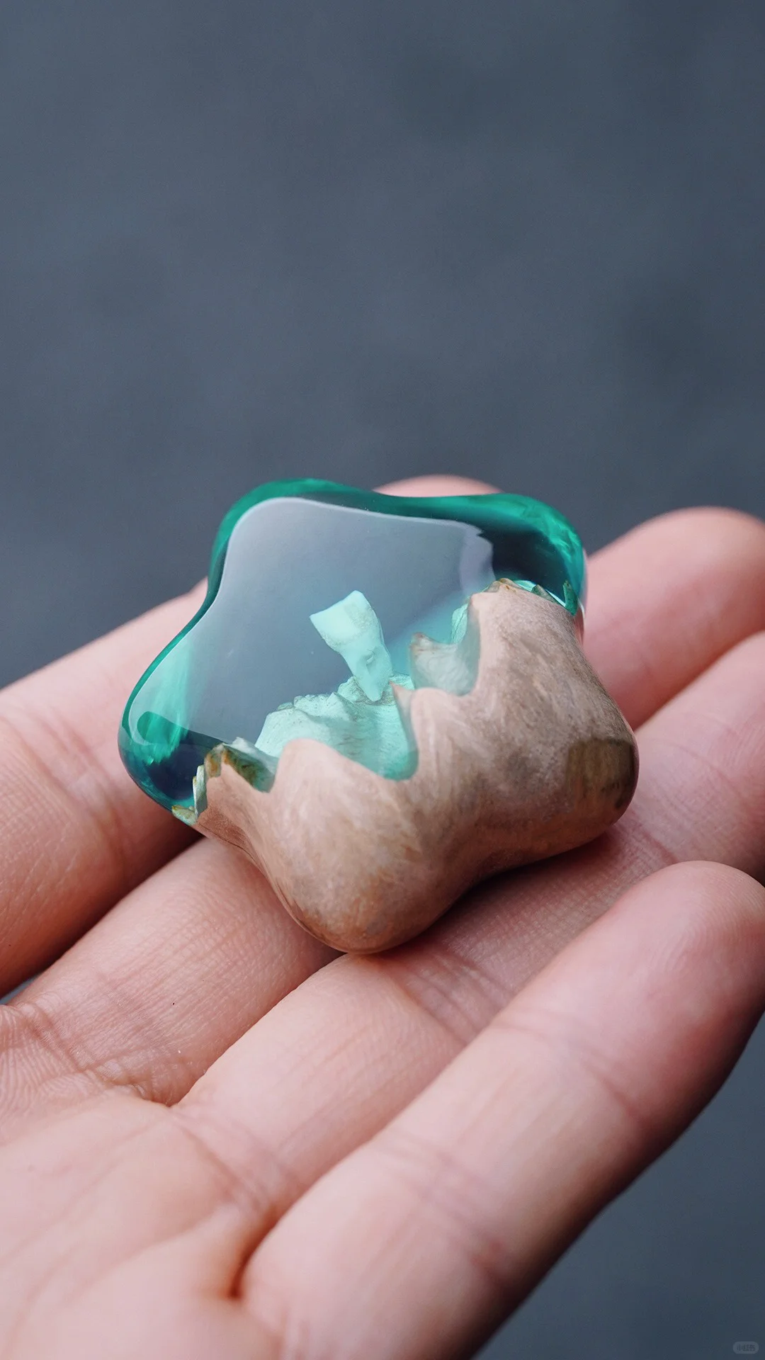 我被抄袭过最多的作品