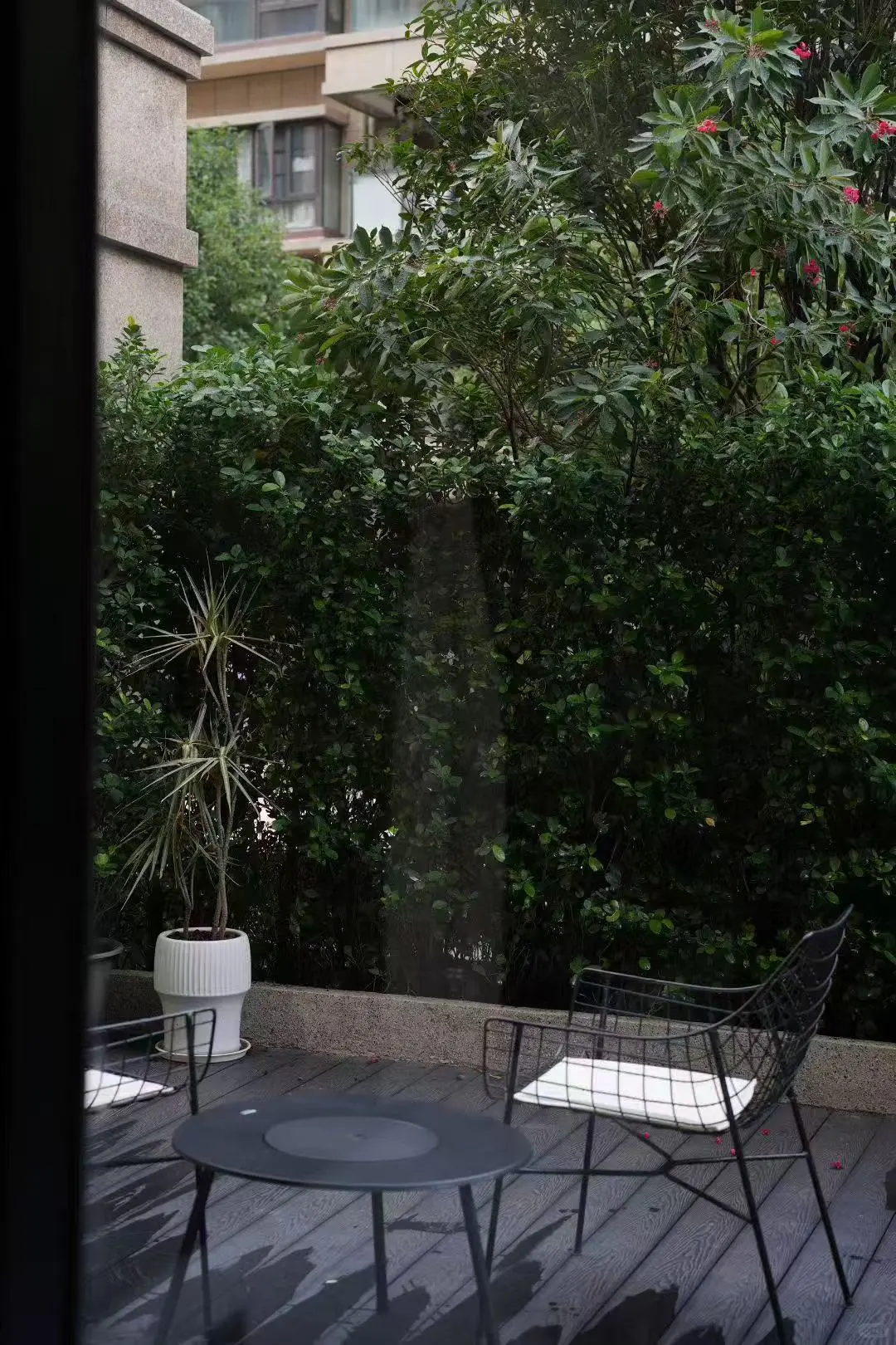 备孕路上的隐形刺客❗️你了解吗❓