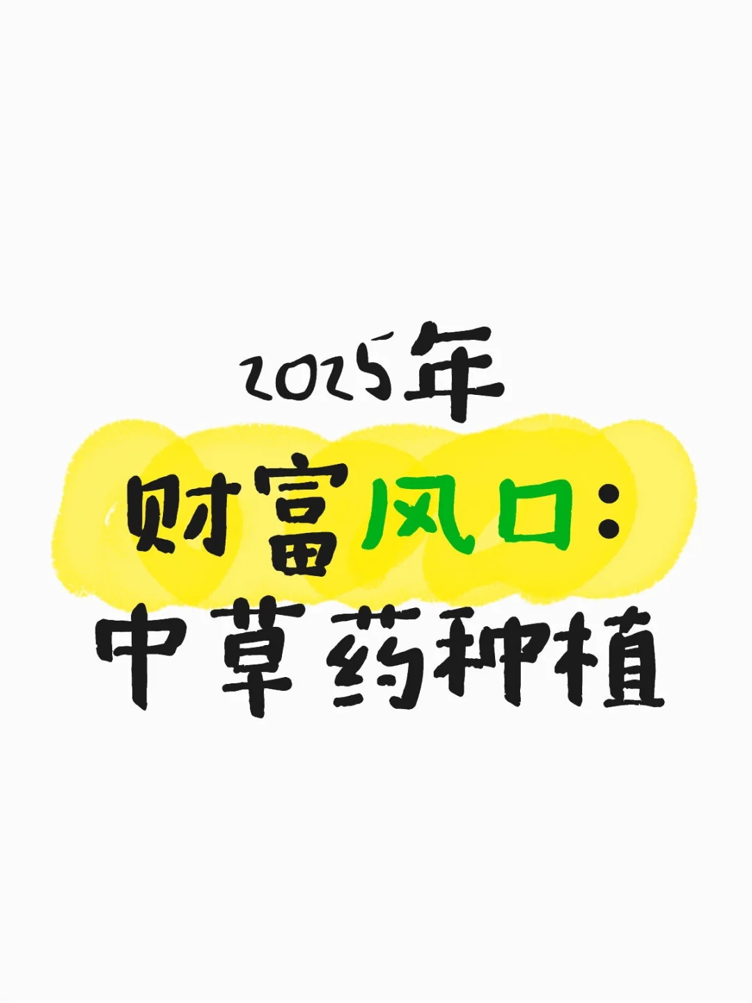 2025年，财富机会竟然藏在中草药里？