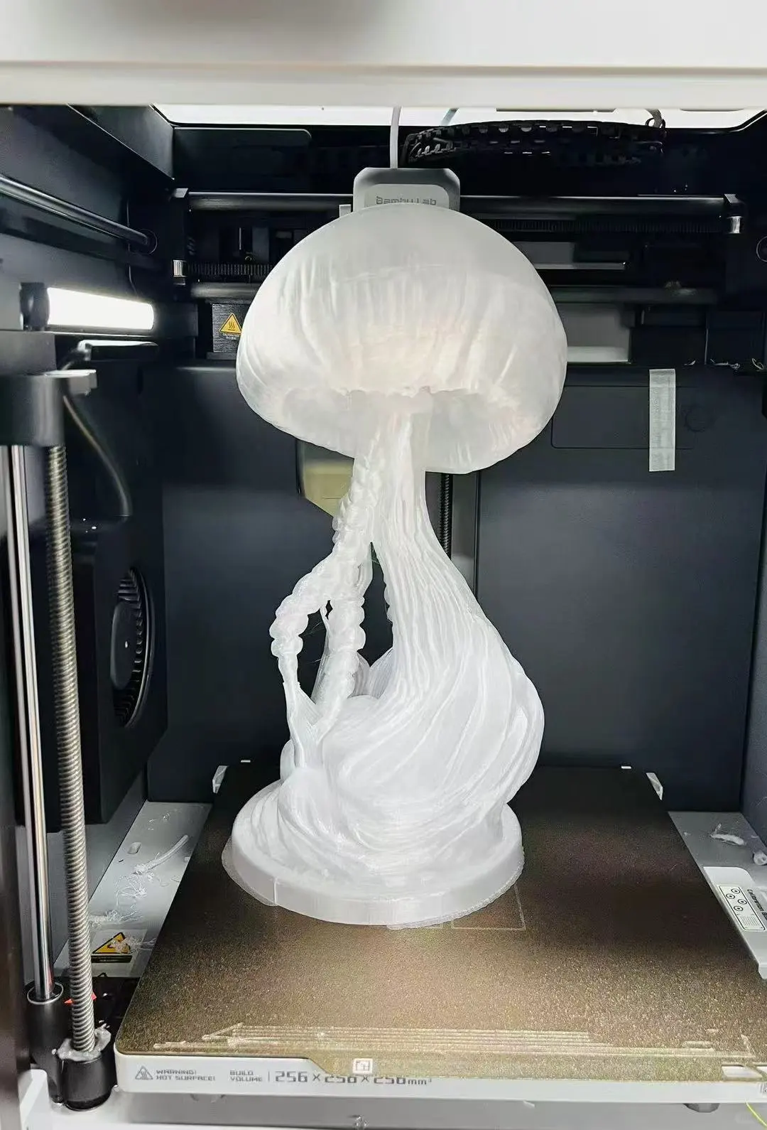 我在清华做了个水母灯……