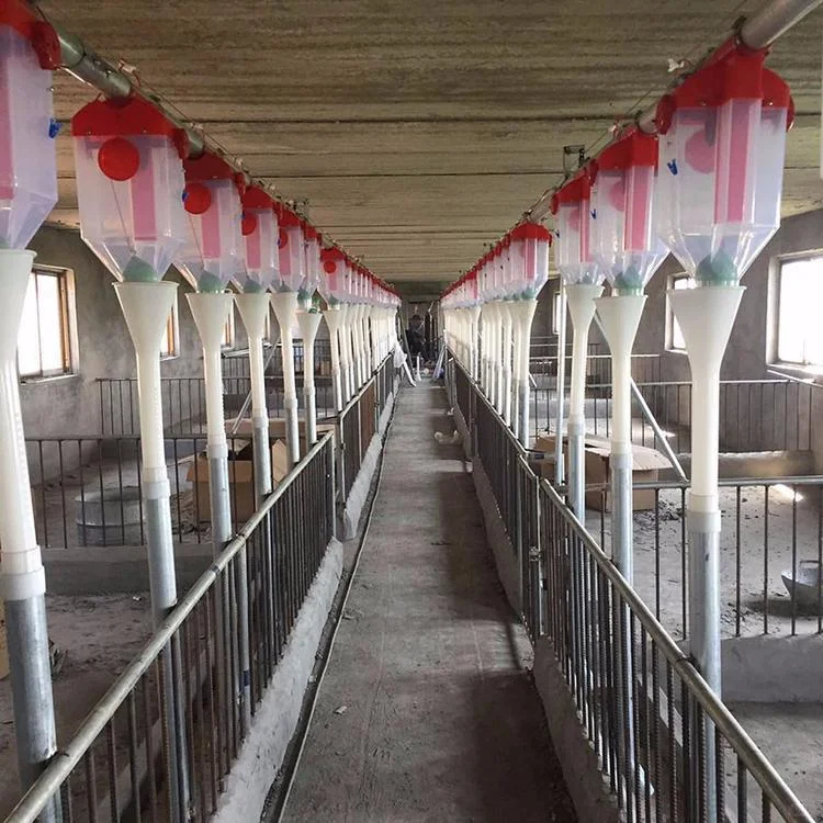 猪舍用饲料传送料线