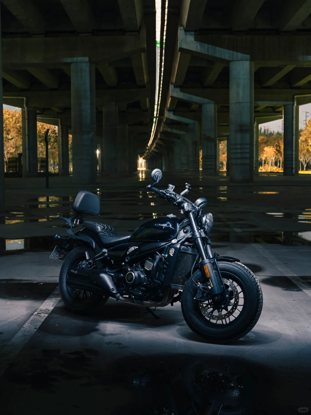 给小黑拍一组写真｜450clc