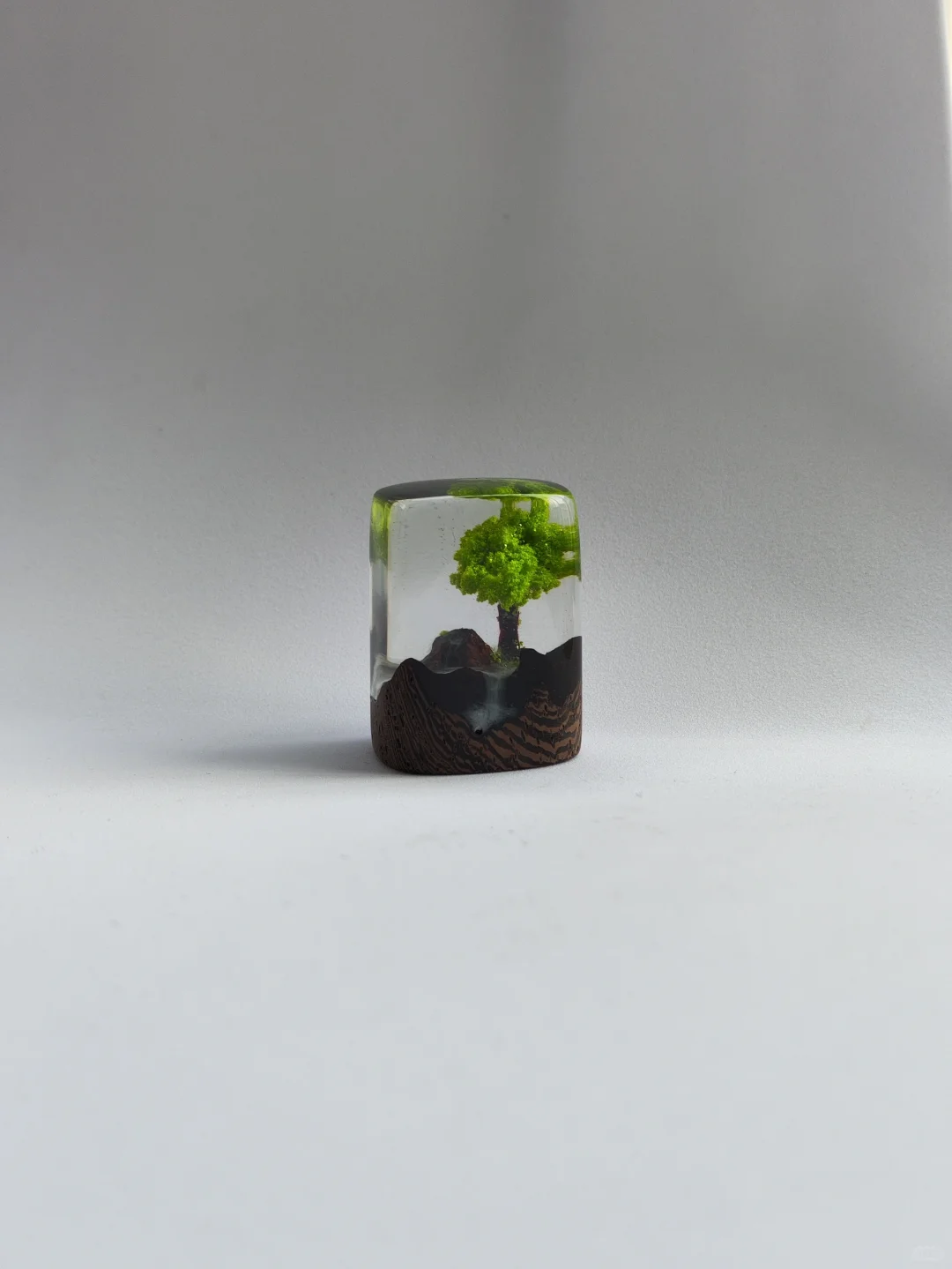 自己制作的小树摆件