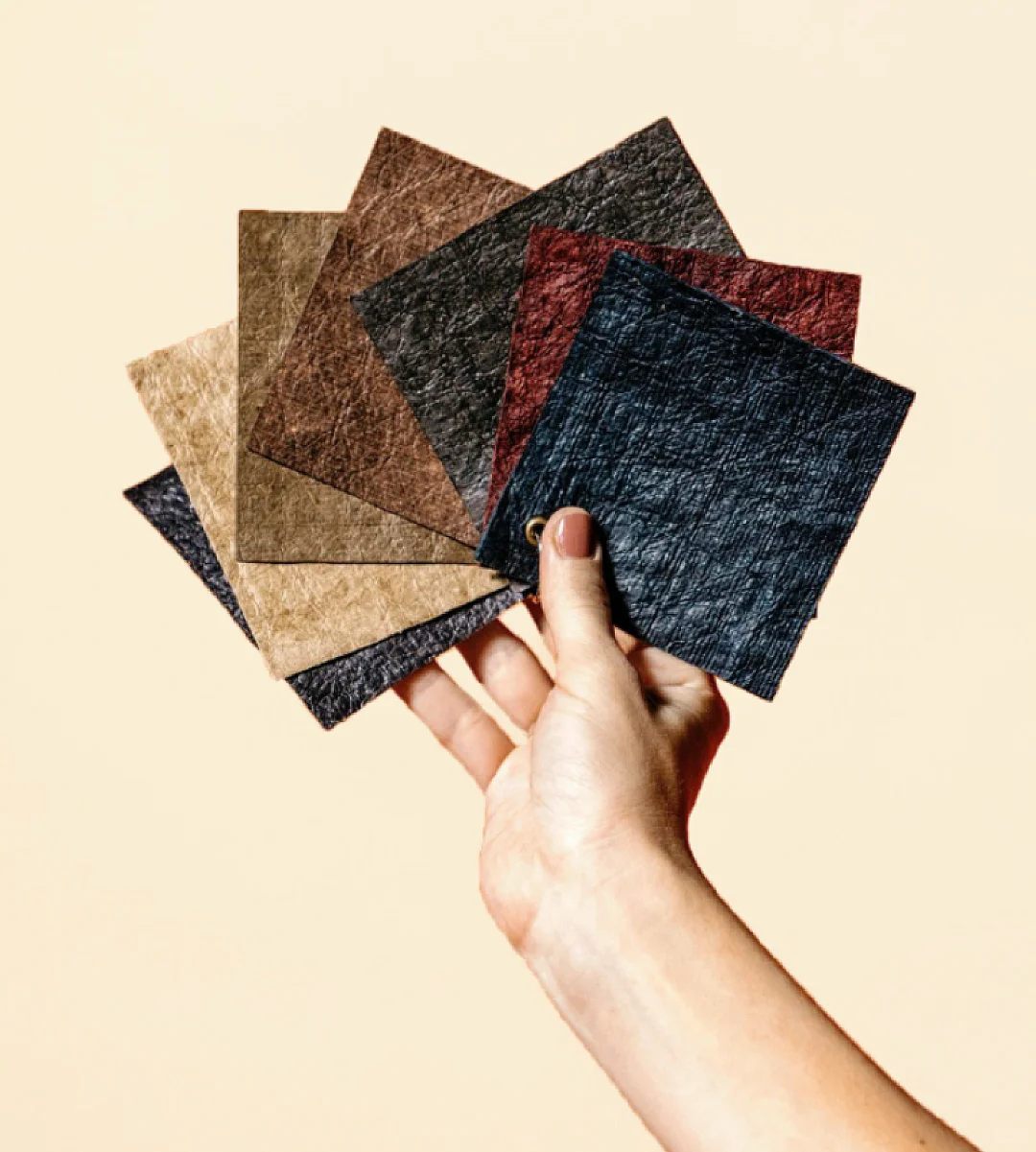 ?生物细菌皮革-椰子、香蕉、大麻、剑麻