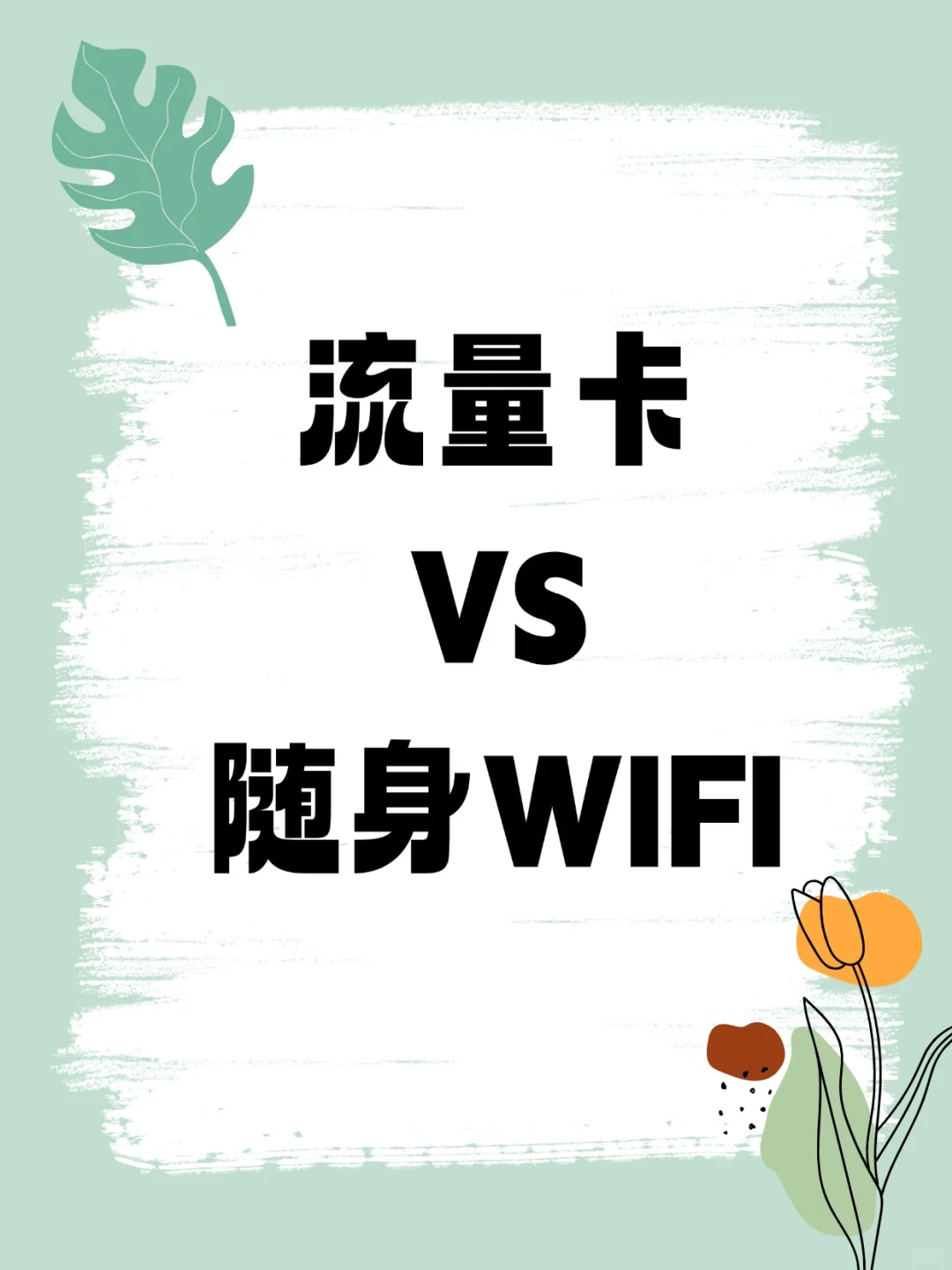 流量卡?随身WI-FI