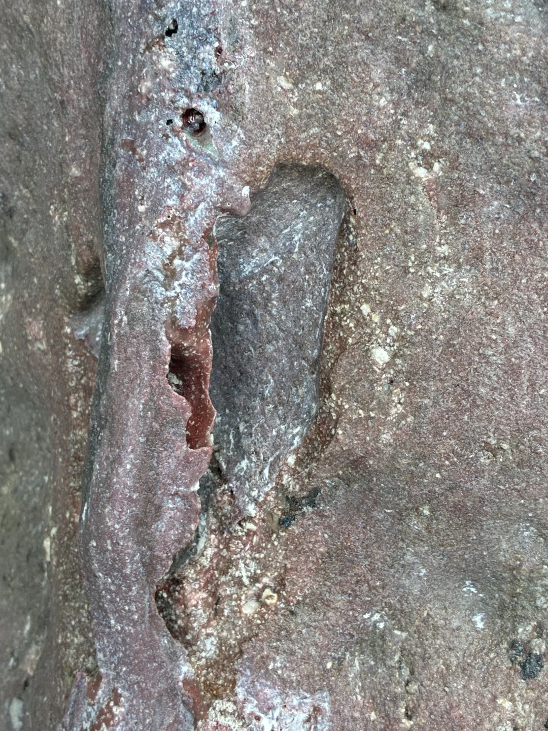 逛展记 ｜ UCCA陶美术馆 安永正臣