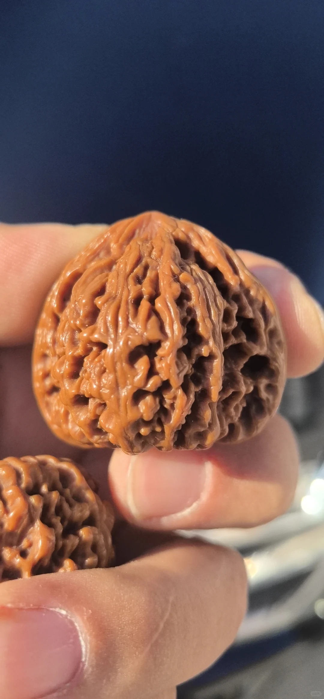 古树南将石三角桩