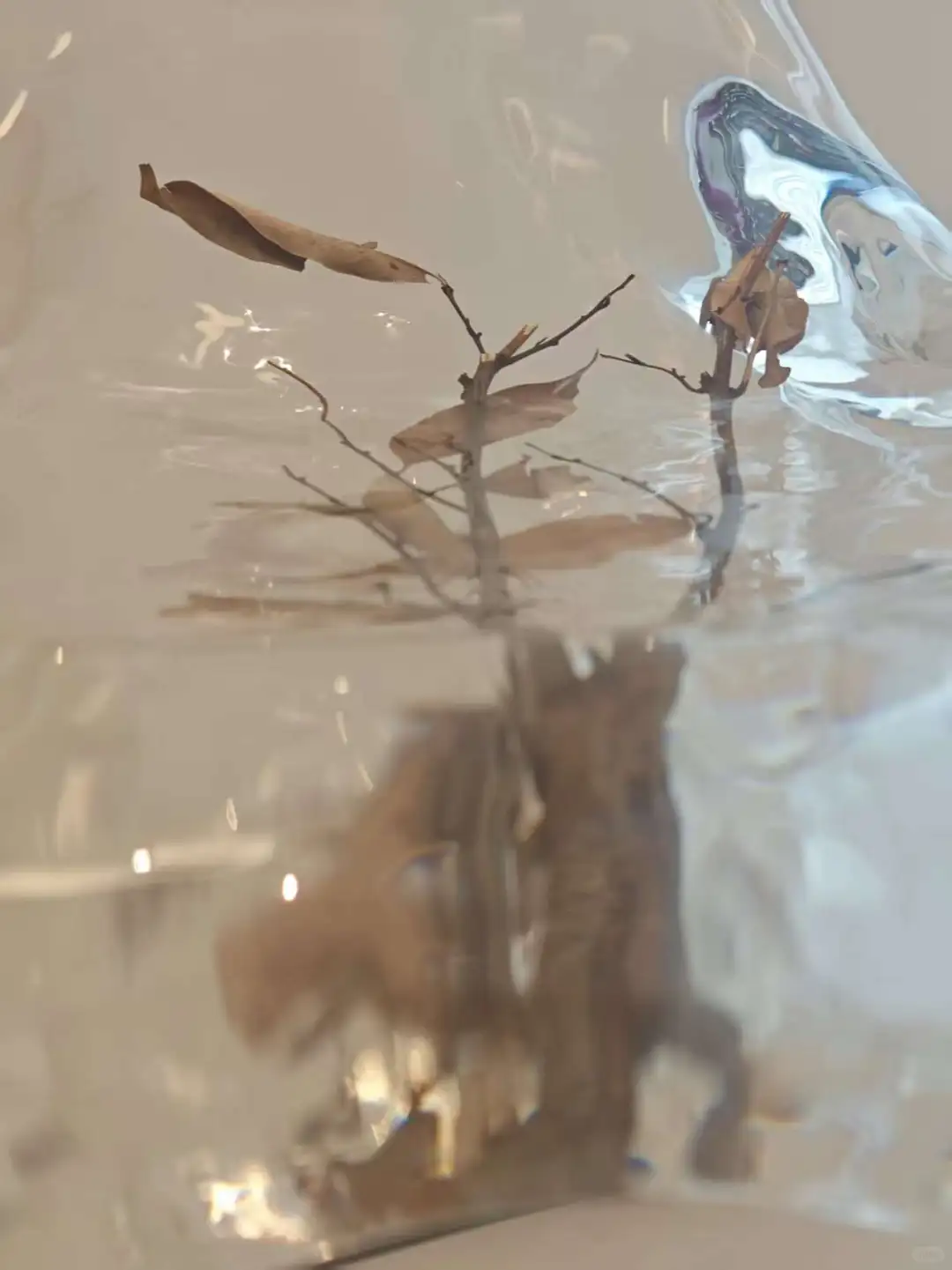 凝固自然的艺术坐具 —— 树脂枯枝花艺凳