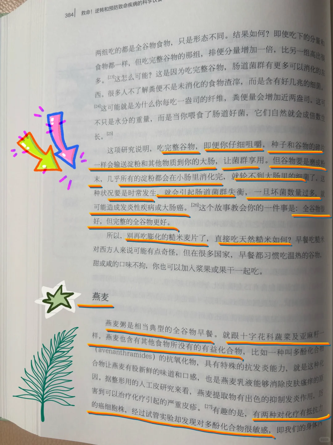 ?救命!吃错全谷物等于自吃?