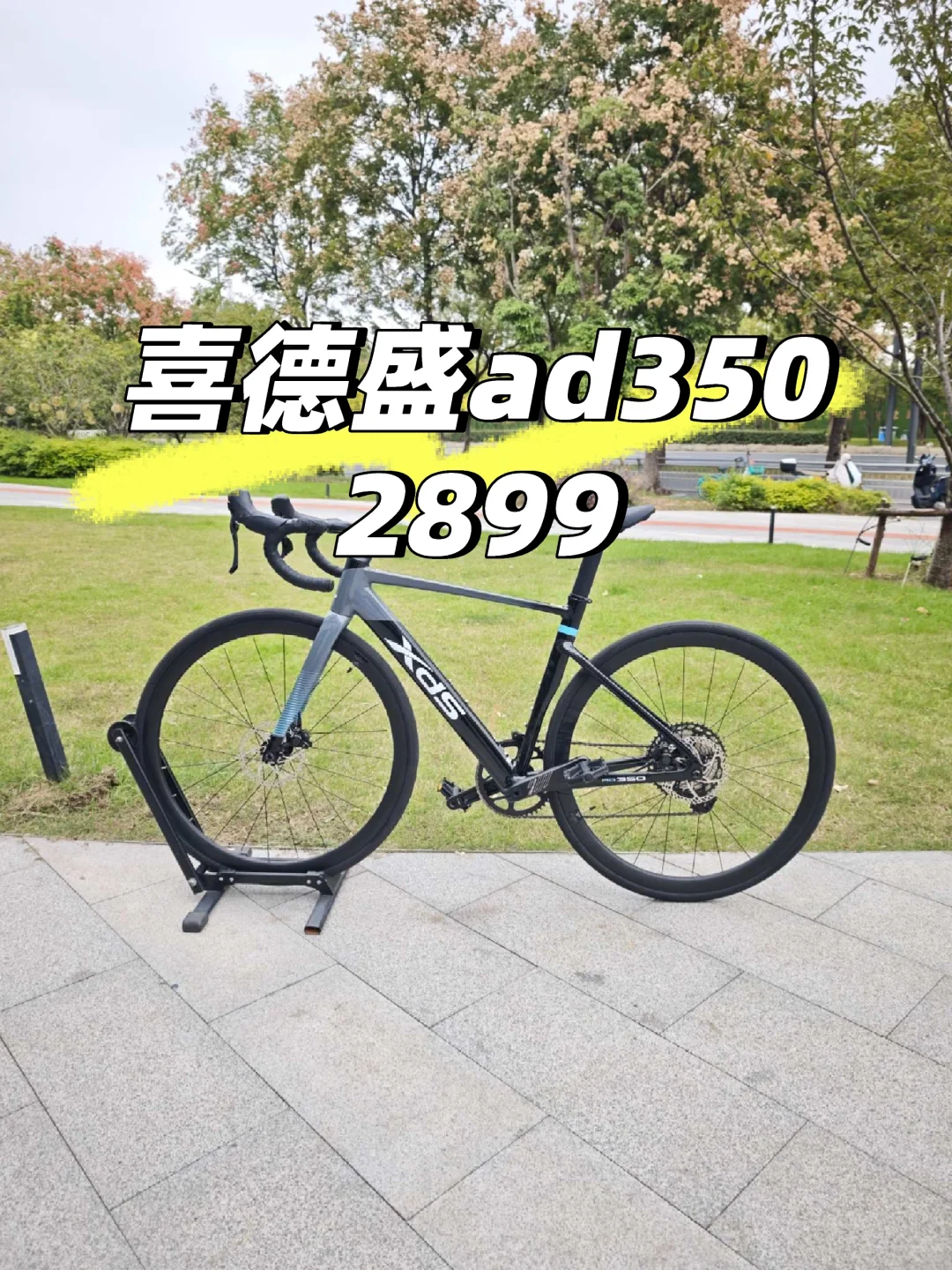 喜德盛新款ad350