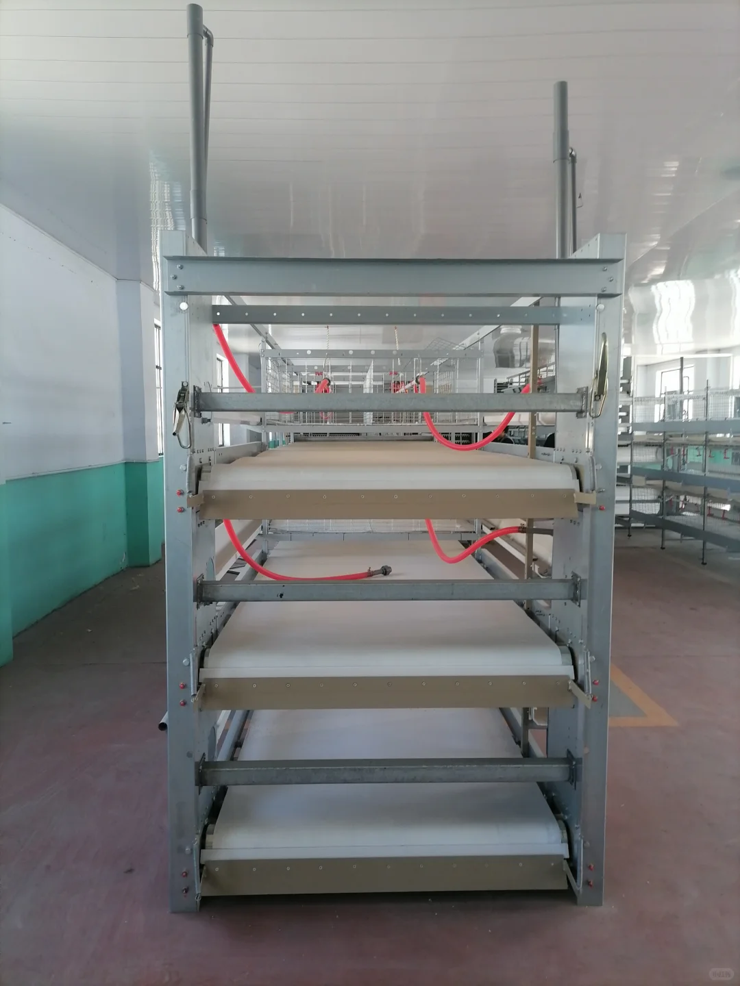 蛋鸡养殖设备的常用介绍