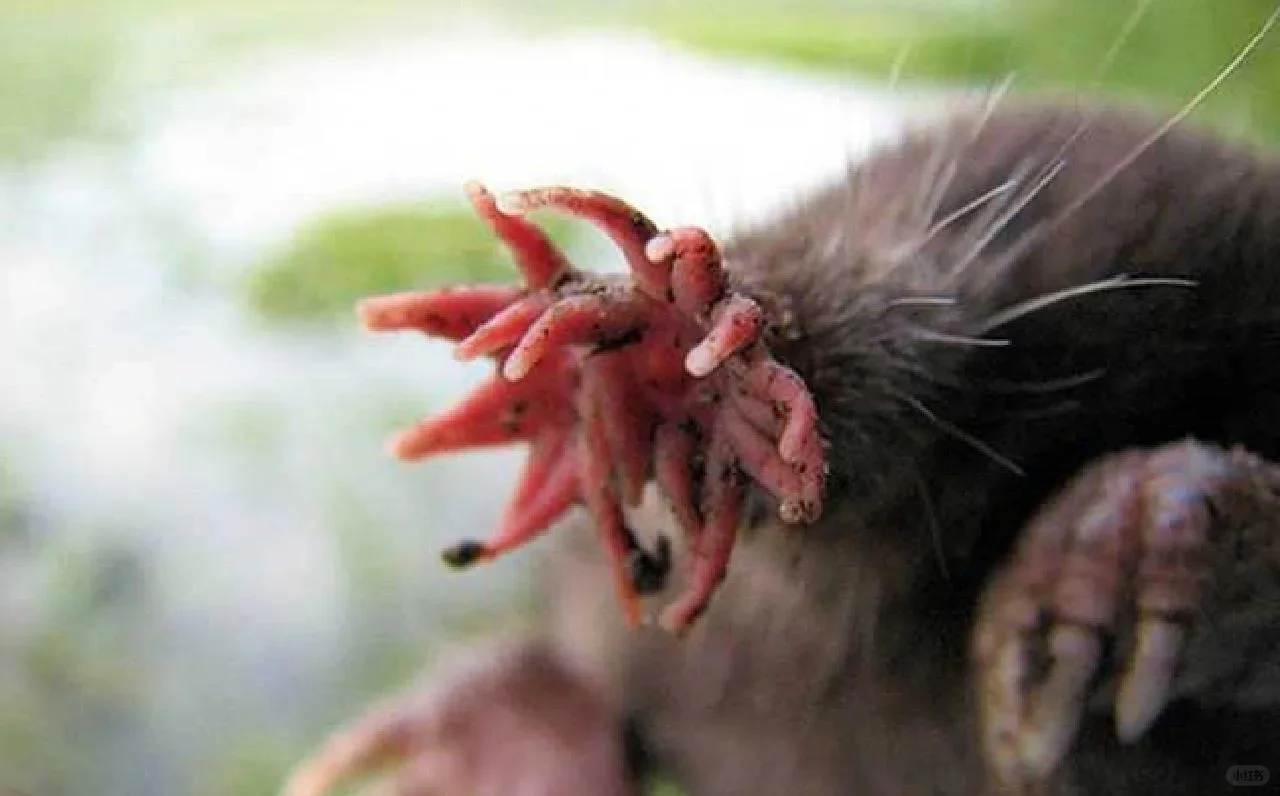 怎么能这么恶心?