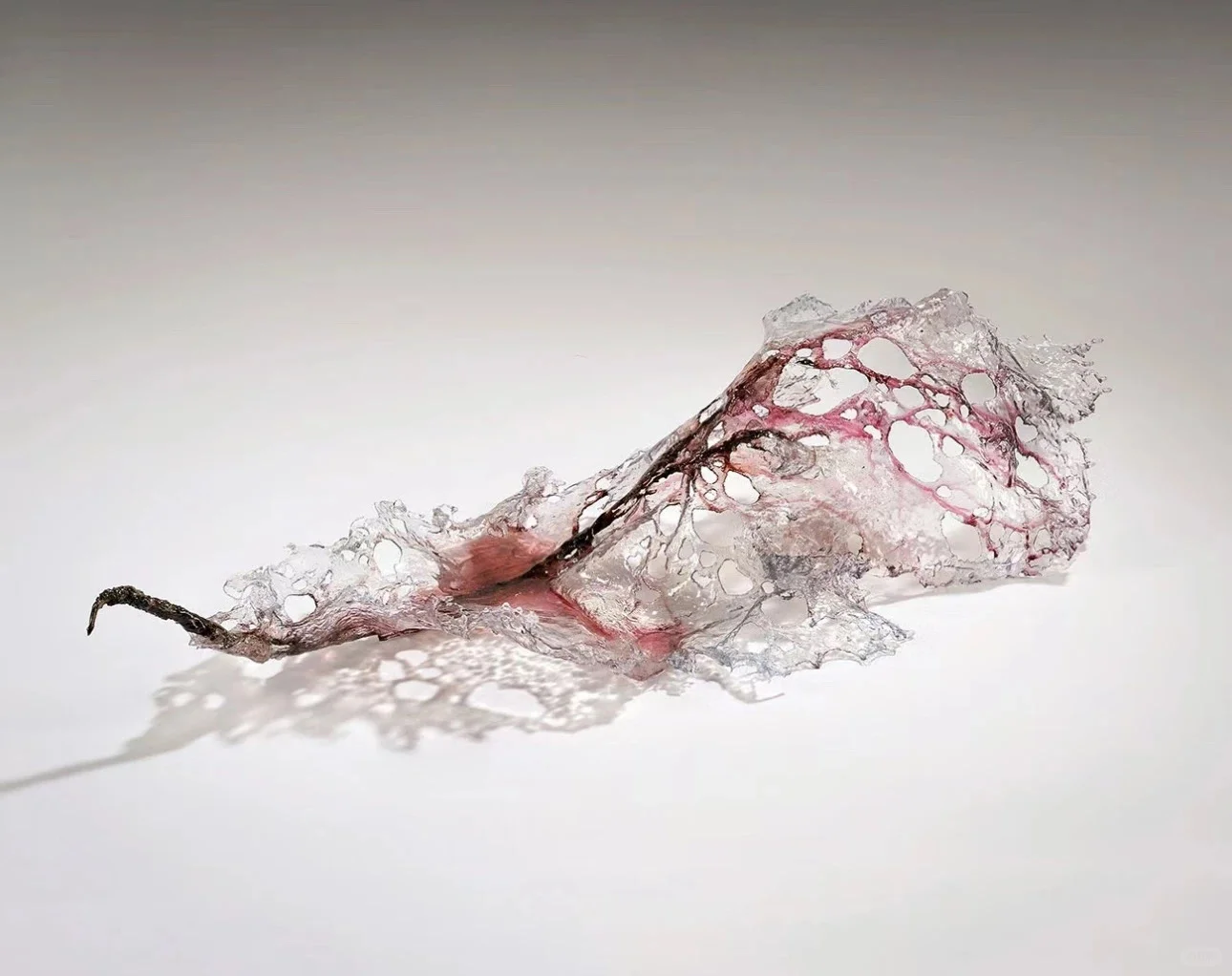 ⚫️? Annaluigia Boeretto