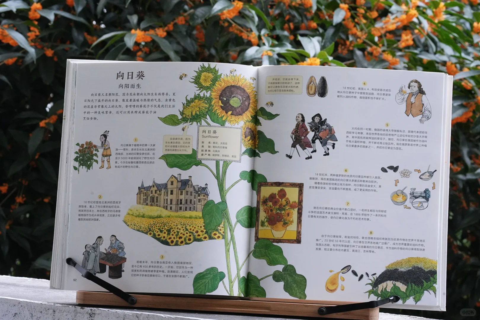 一起踏上作物之旅|一本科普绘本