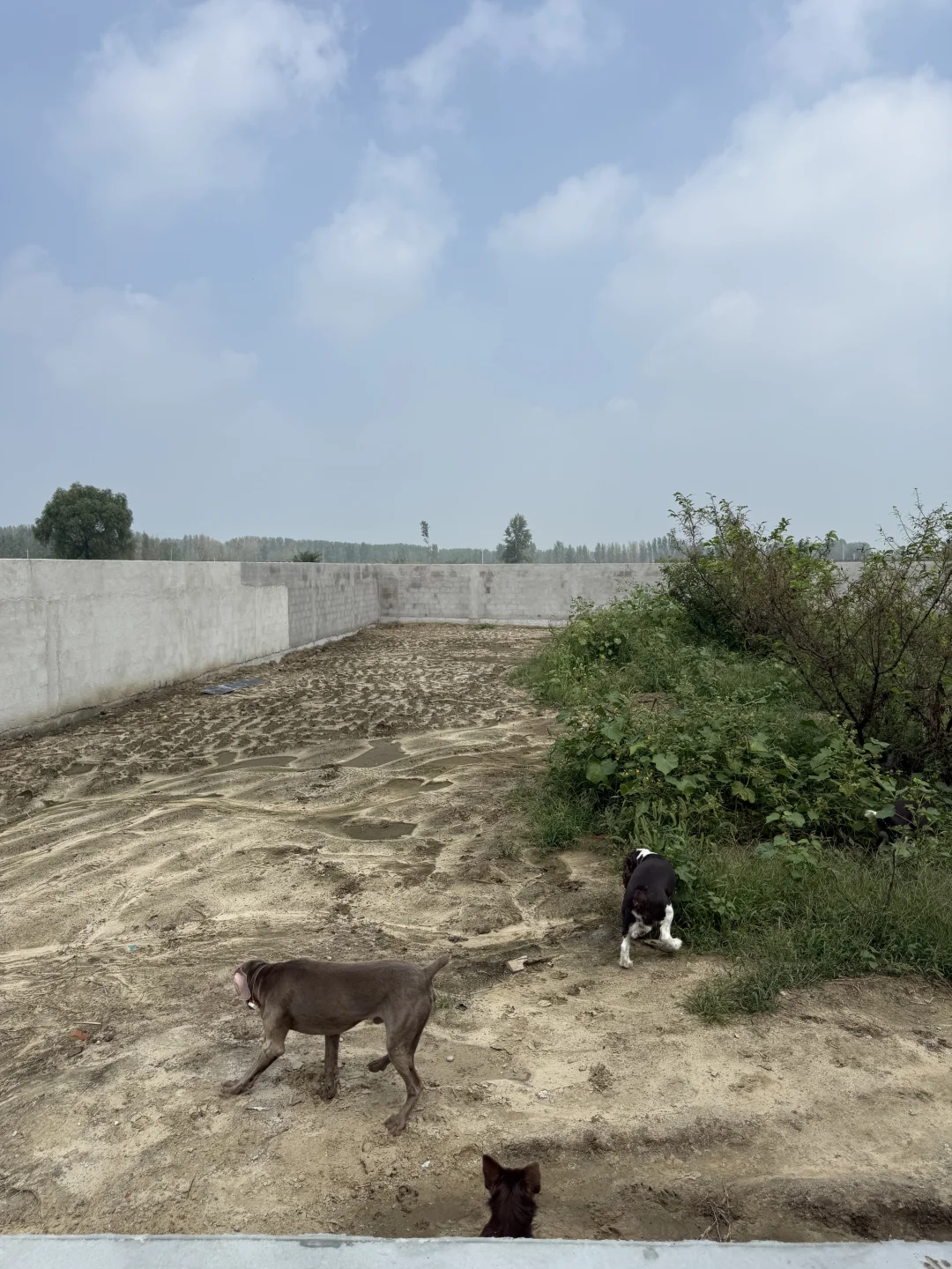 装修省钱反被坑！水泥地丑到想砸了?