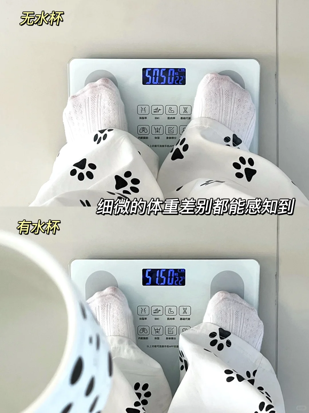 才20➕?老国货体重秤❗️原来真的很强