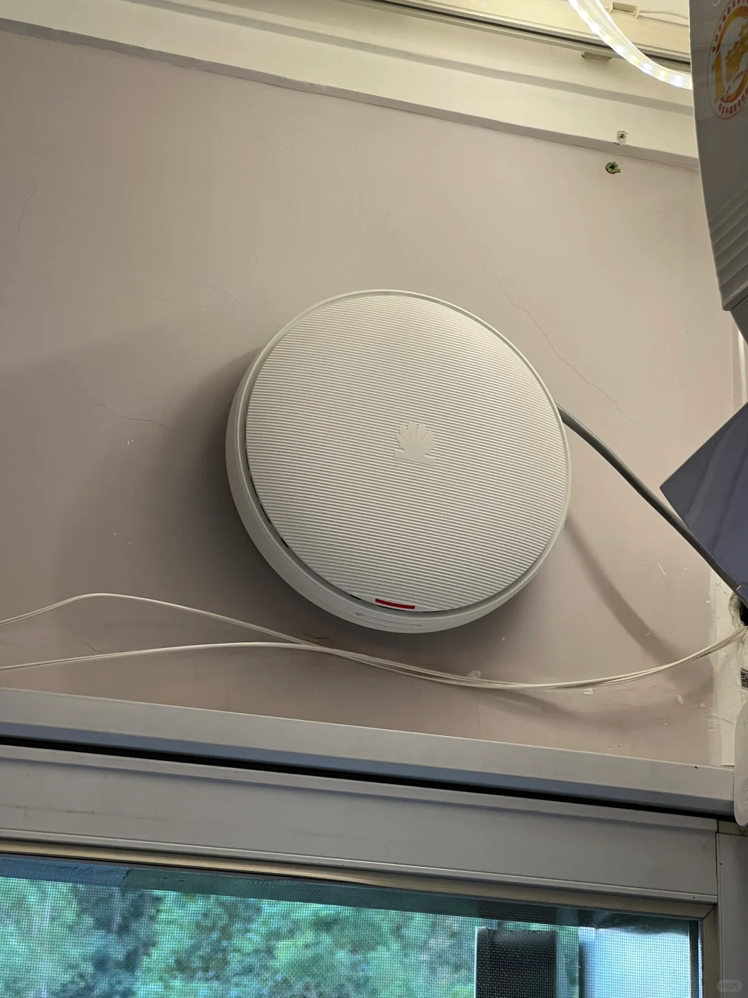 记录一下我玩网络的这四年