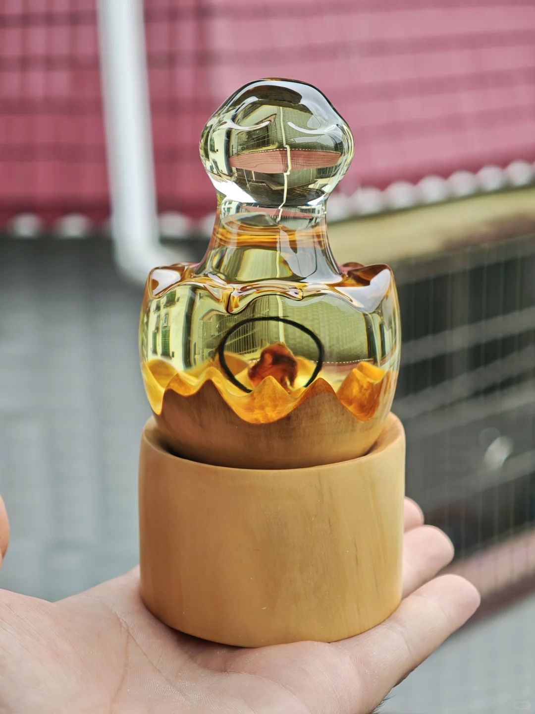 蛇年宝宝的纪念品