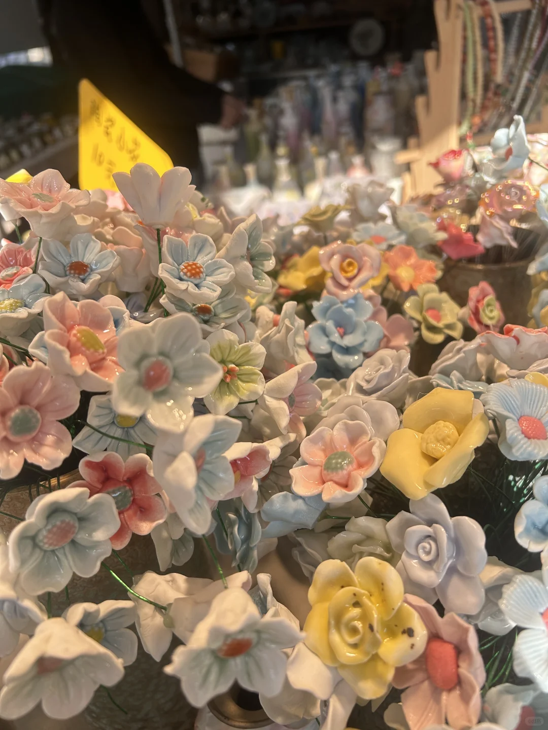 陶阳新村的花花带回家啦