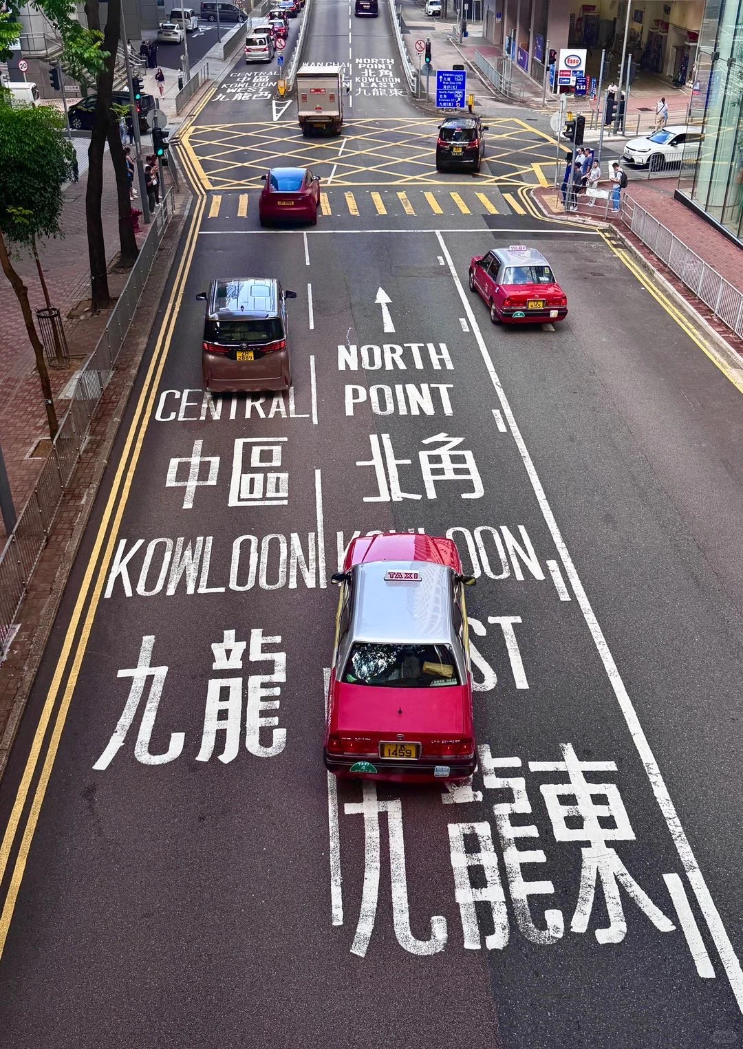 来香港读书后才发现年龄焦虑有多可笑