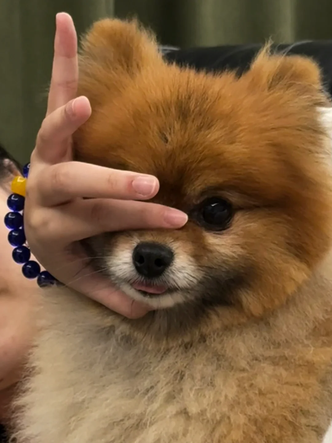 国美玻璃艺术专业毕设月的记录们?