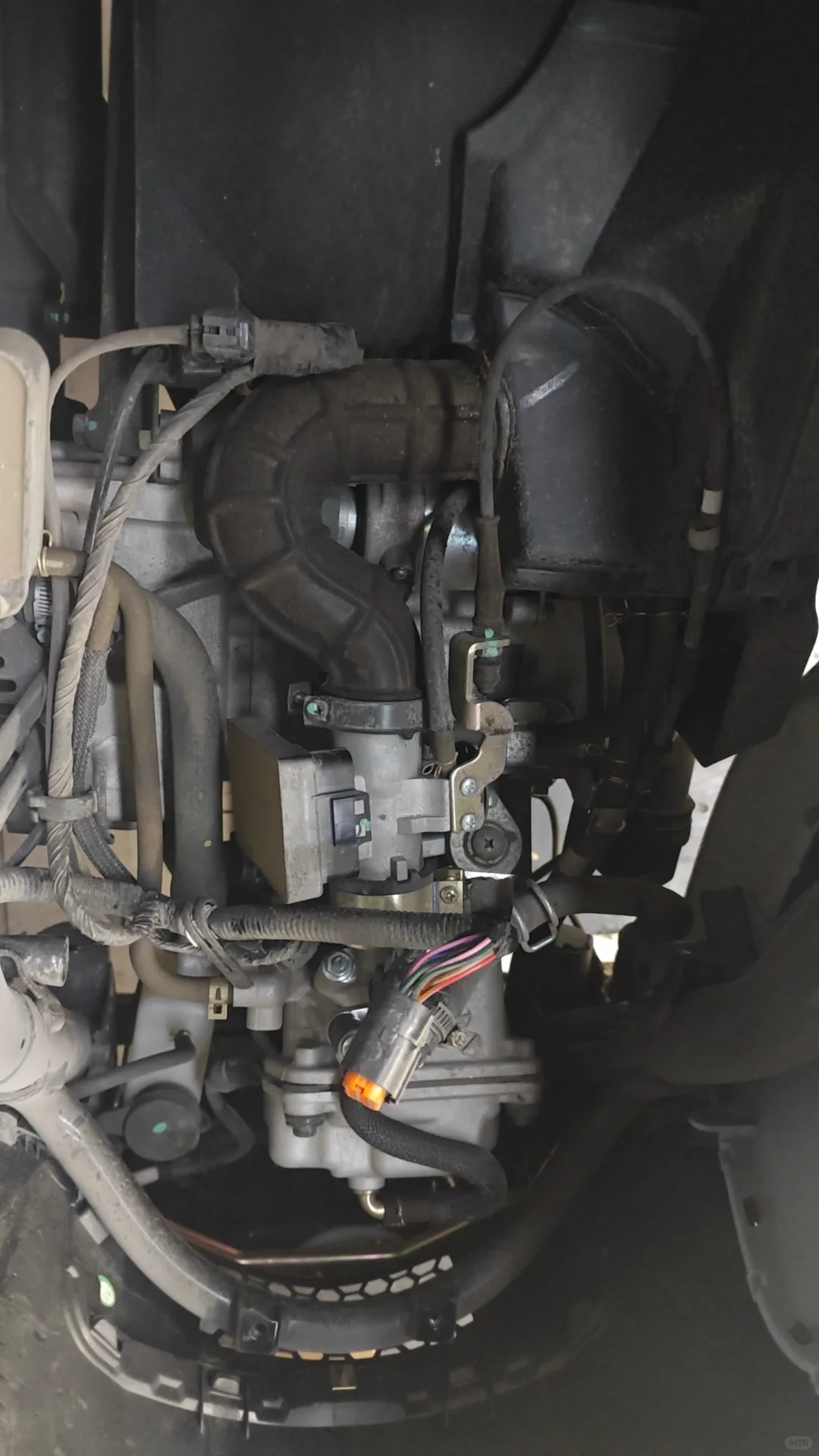 三阳飞度五打不着火