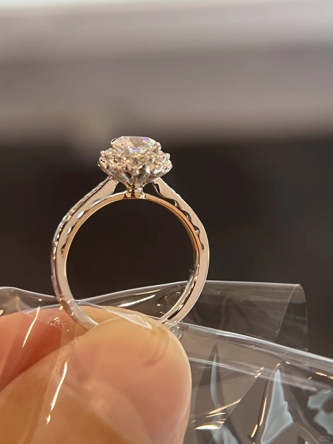 名字叫“华美”