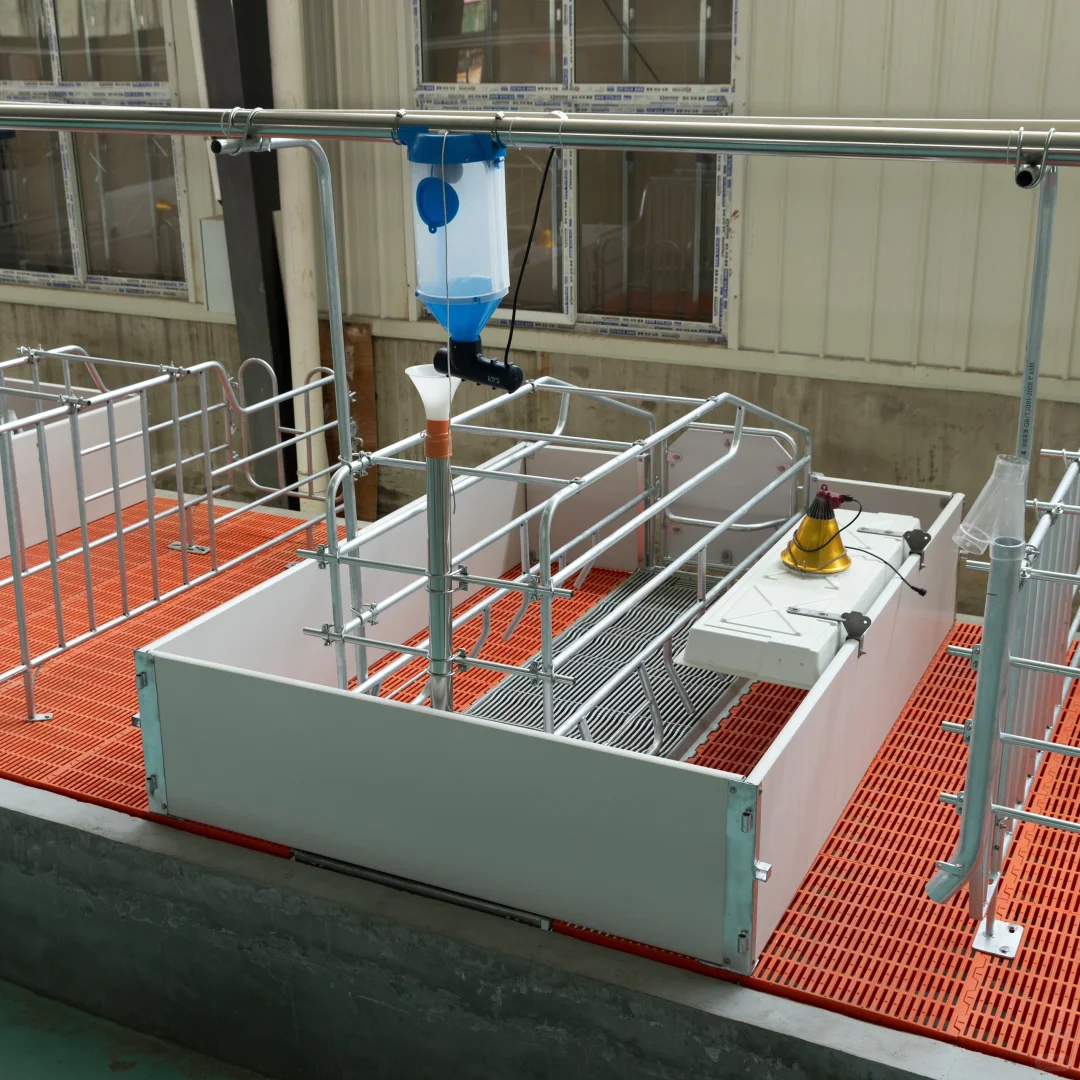 养殖设备一站式采购：非常OK的产床来啦