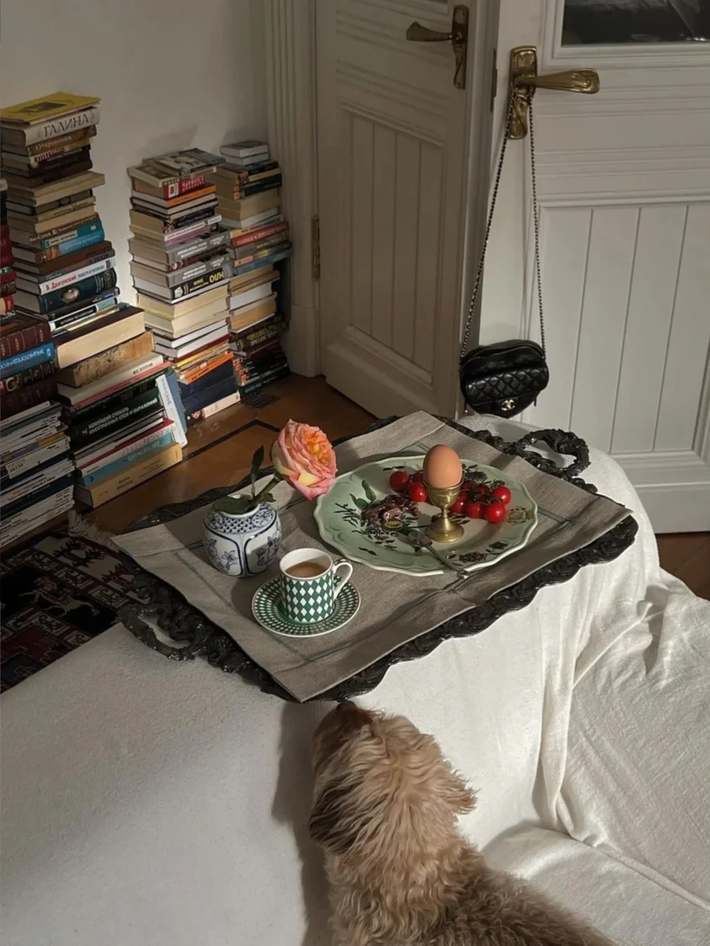 做自己生活的主理人|i人的独居日常.