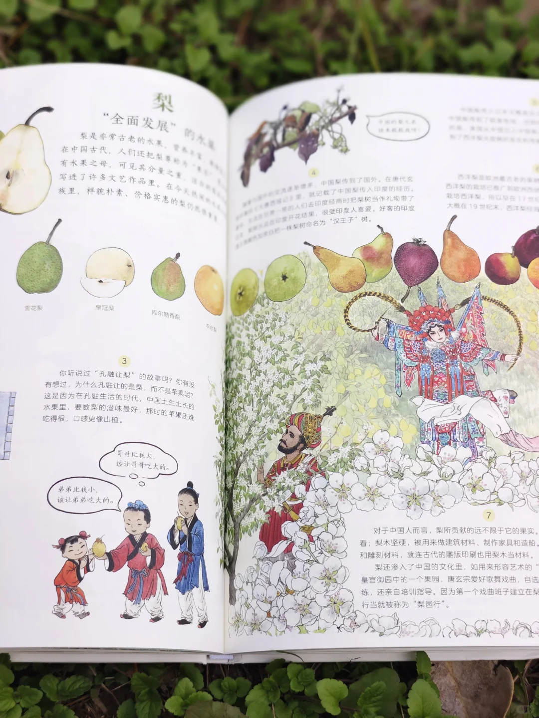 儿童农业科普绘本|纯手绘农作物科普