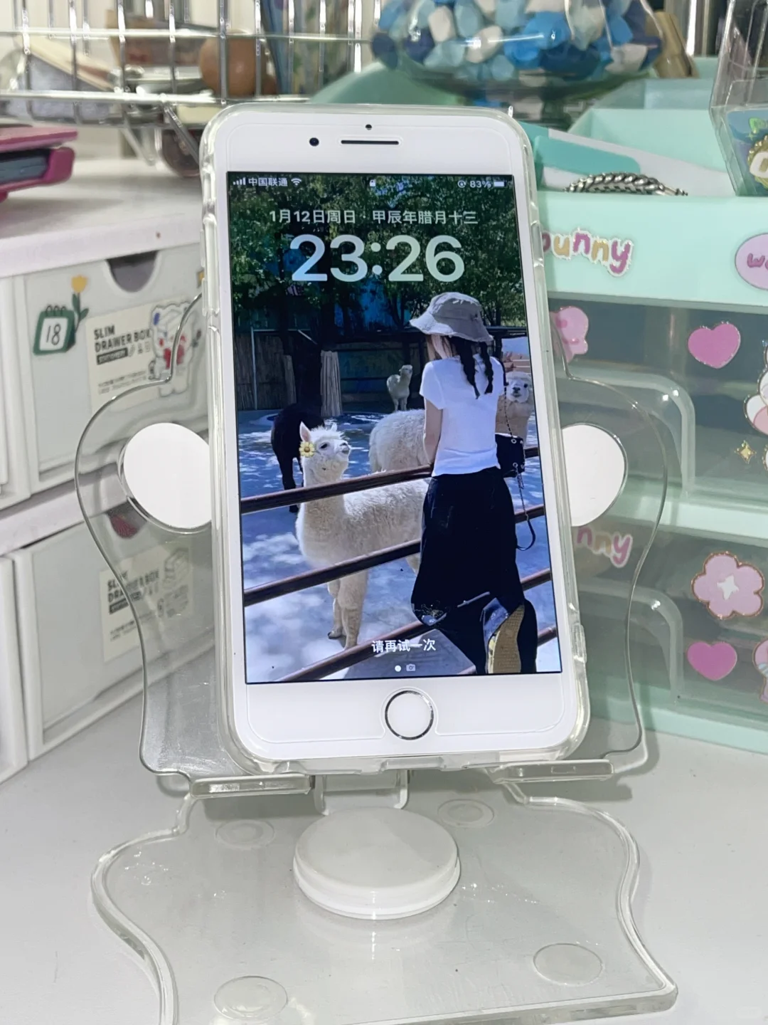 我的数码全家福