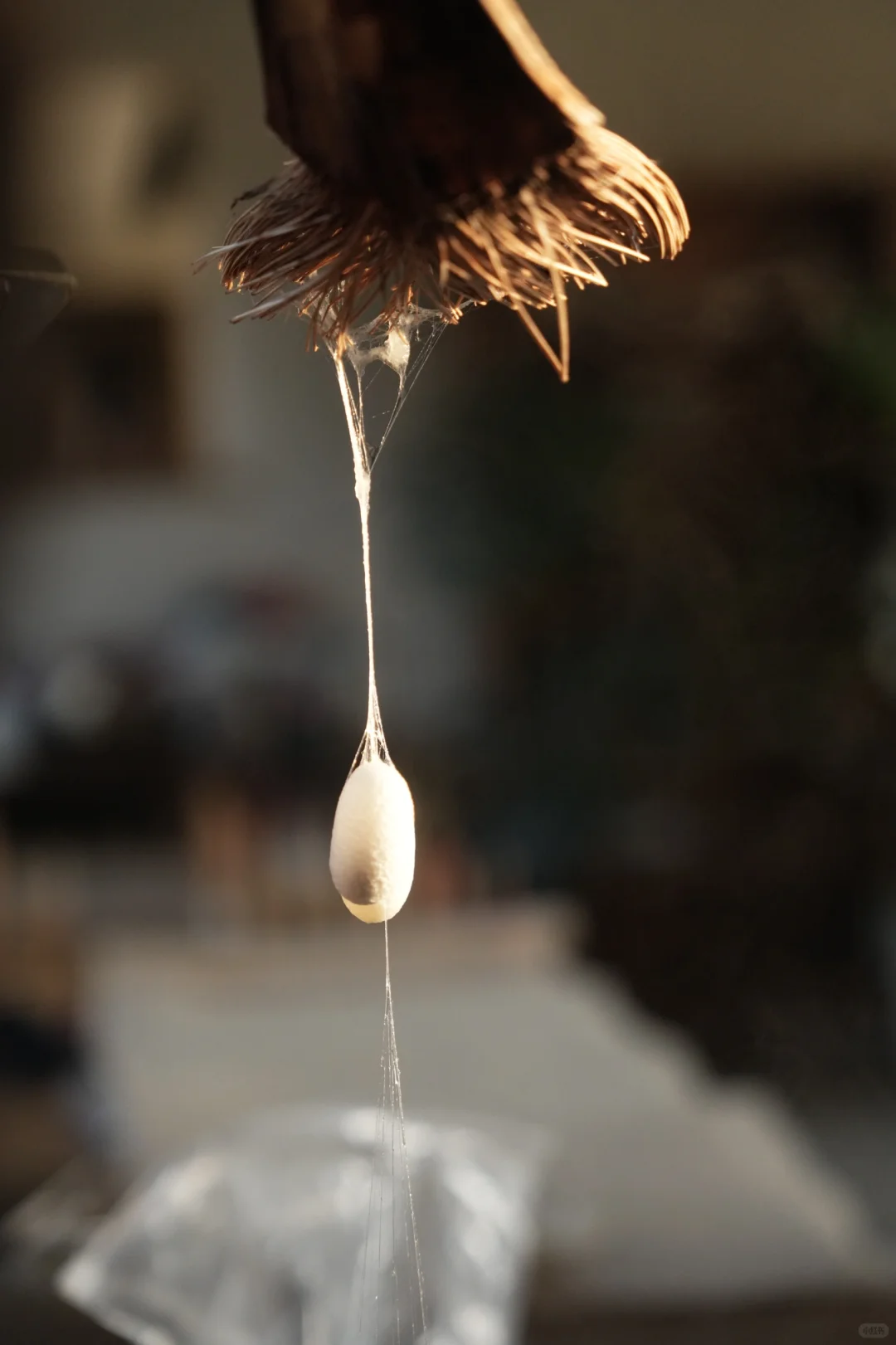 织布课里重要的一个环节 - 缫丝