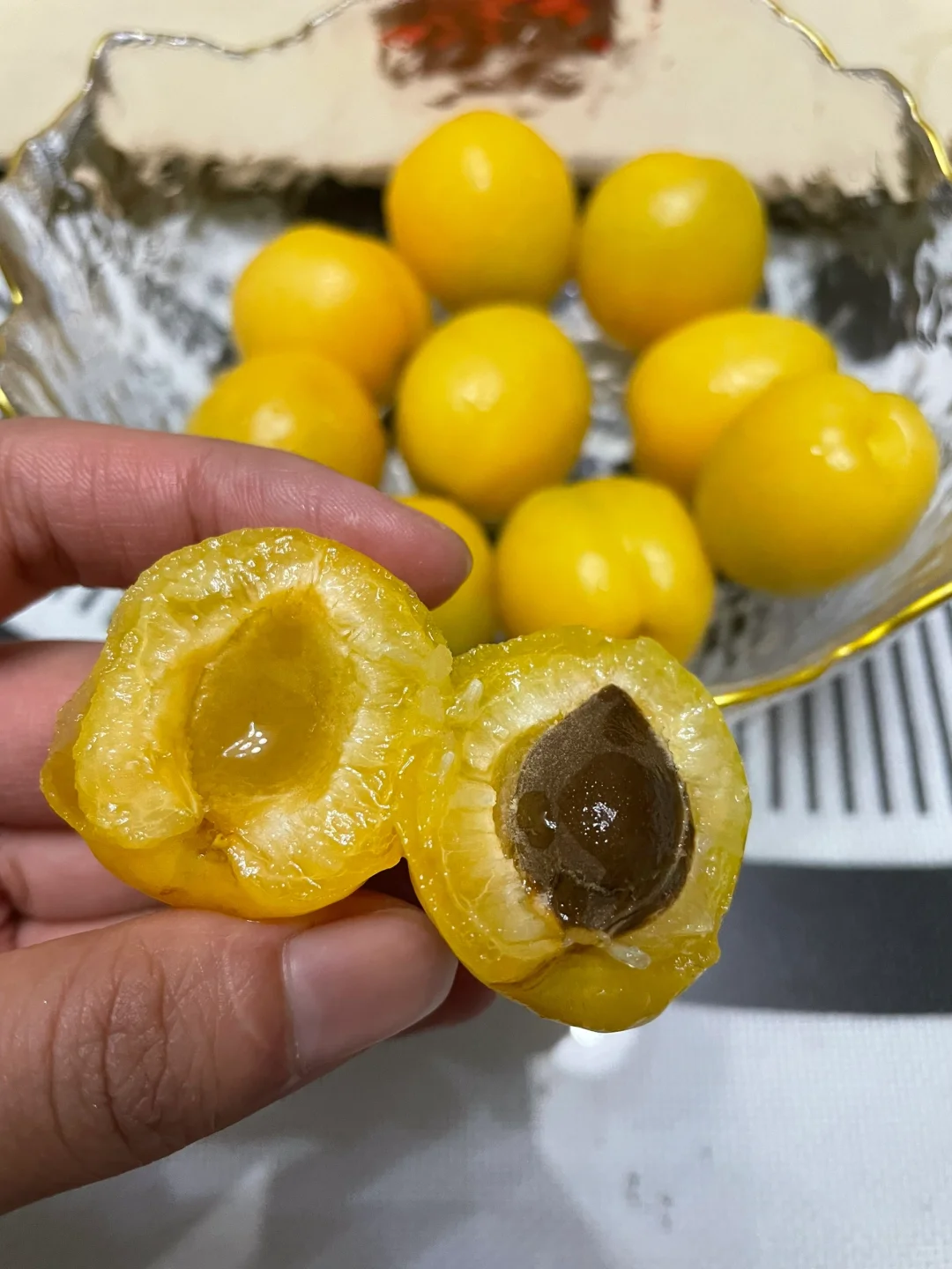 原来新疆小白杏这么稀有,一年仅20天的果期