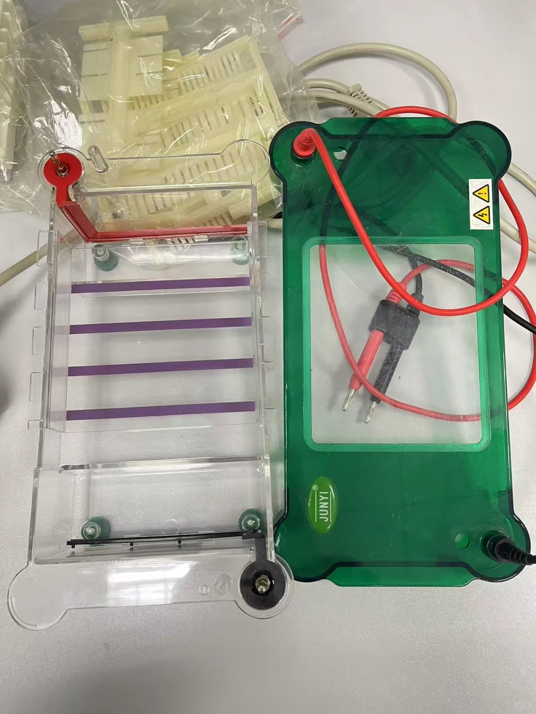 出一台伯乐的全新电泳仪套装