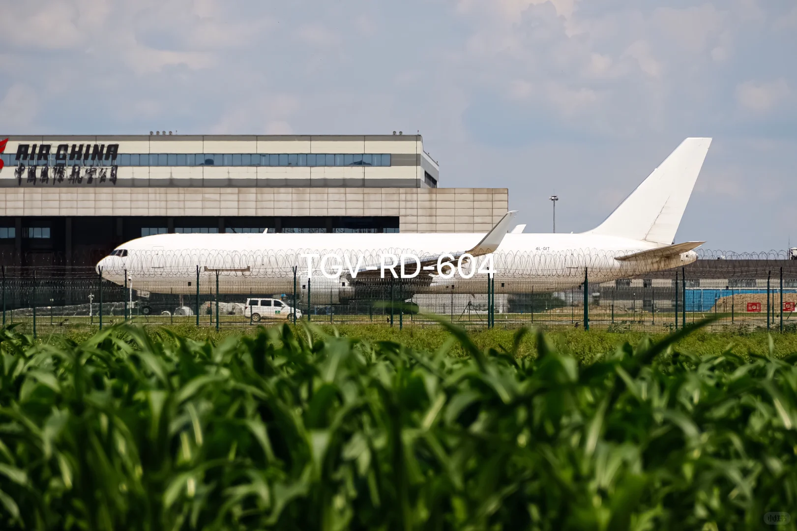 谁能拒绝麦田里的两架野生货机呢