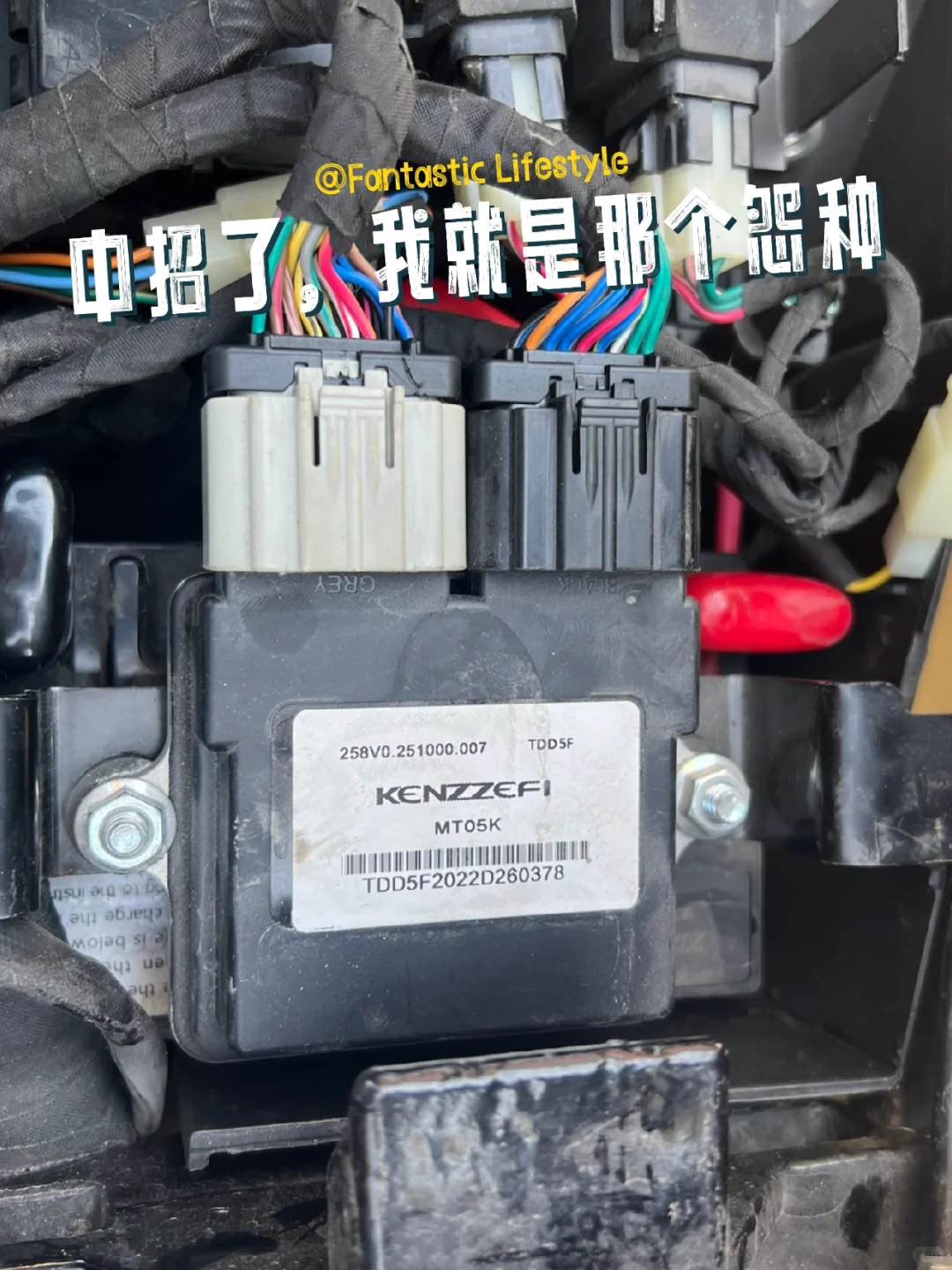 体弱多病的奔达，又被坑惨到！