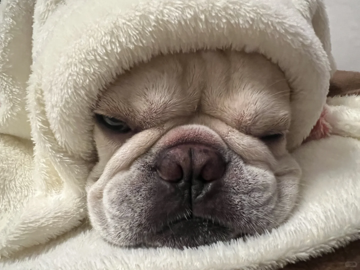 去北方买钢的伍建设